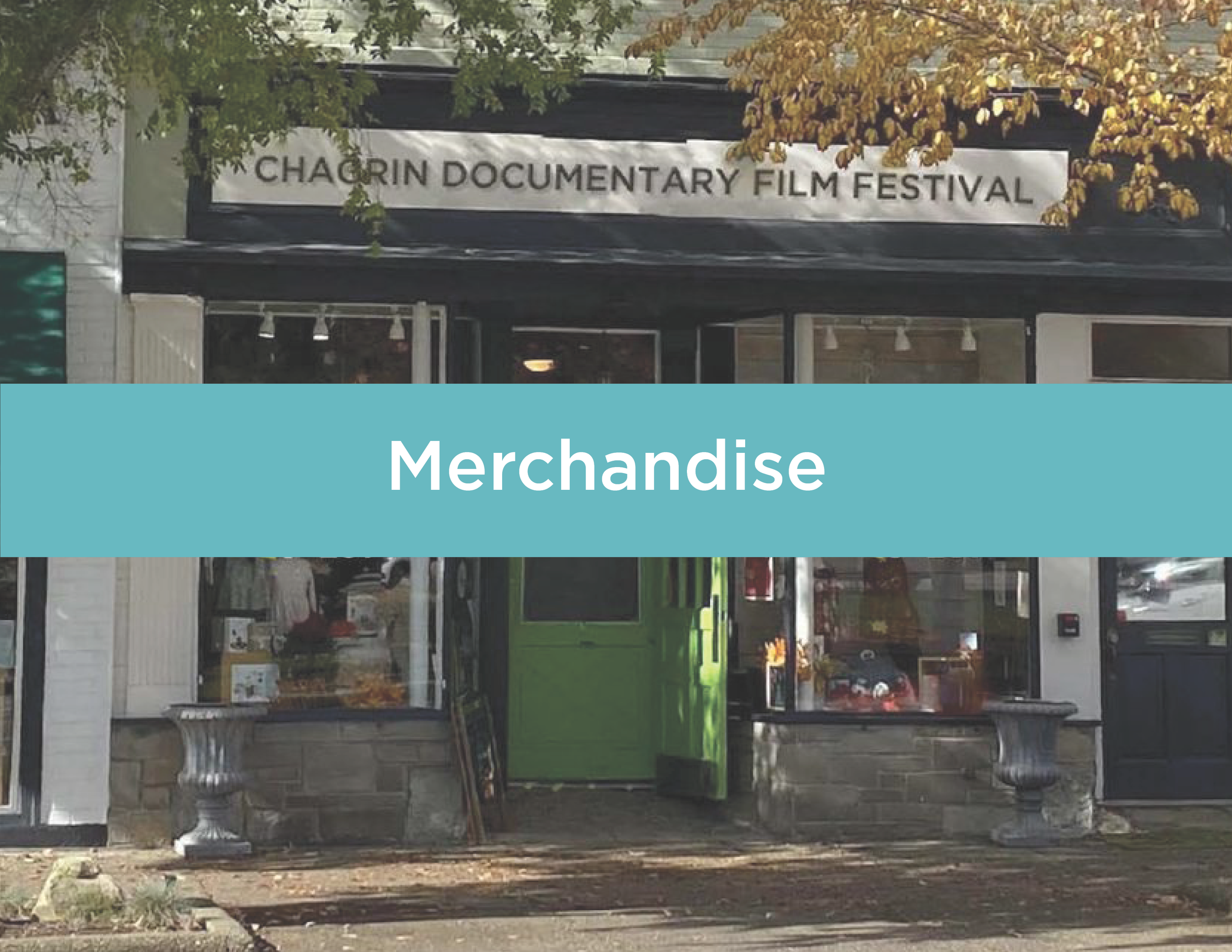Savage_Chagrin Film Fest Presentation9.png