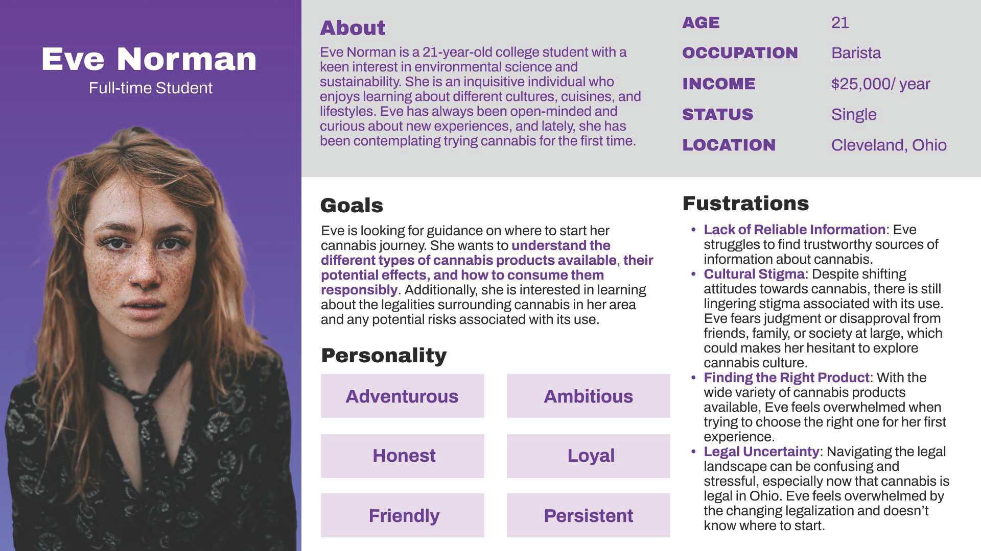 StonerVision Presentation_Page_04.png