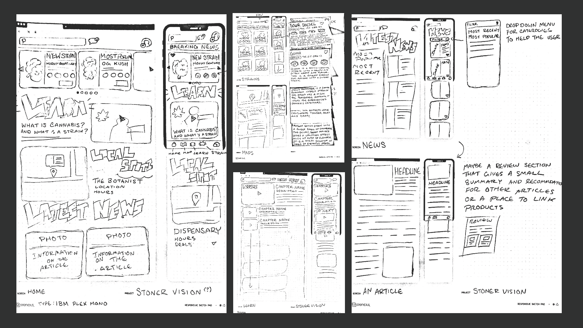 StonerVision Presentation_Page_06.png