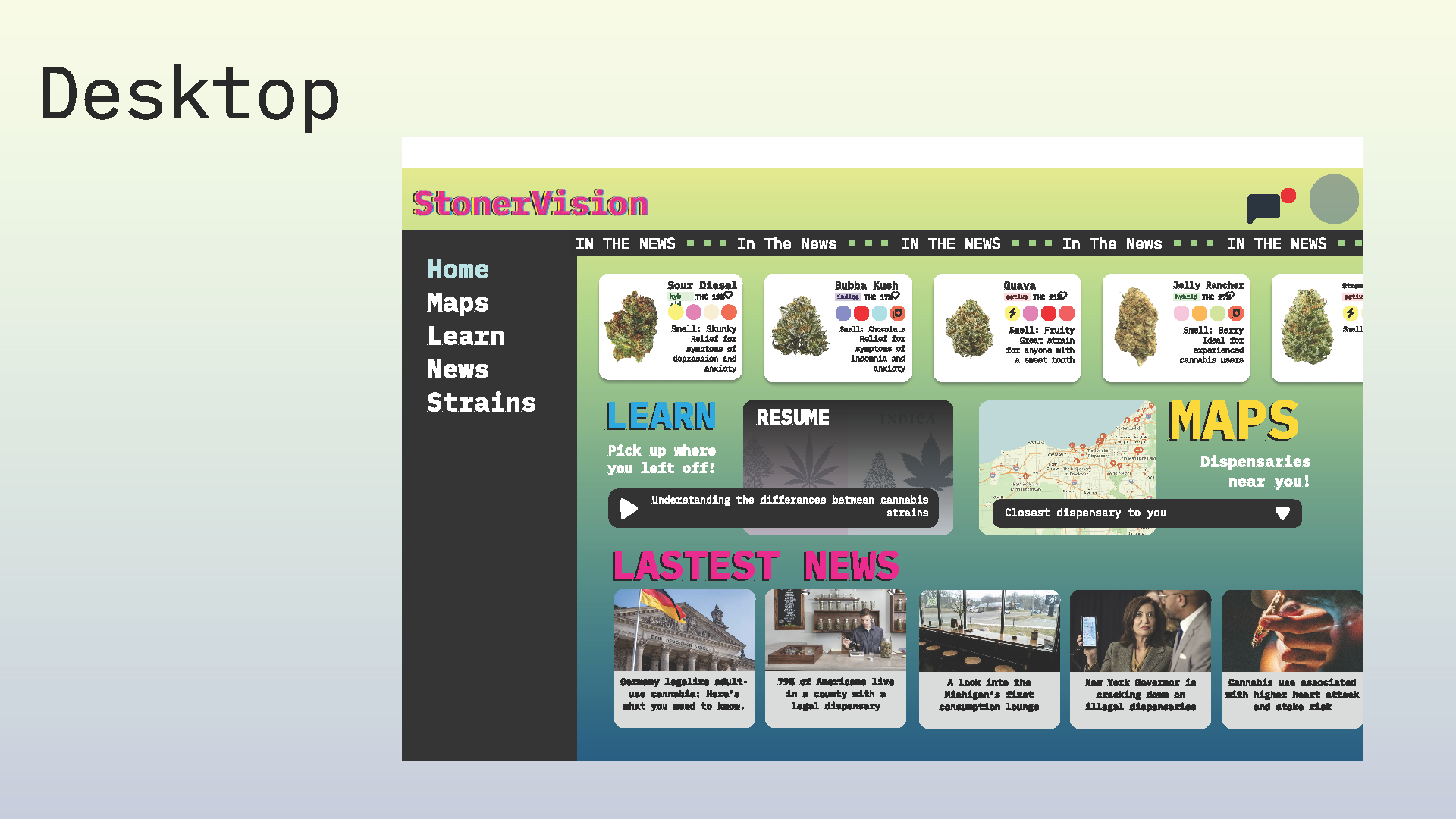 StonerVision Presentation_Page_10.png