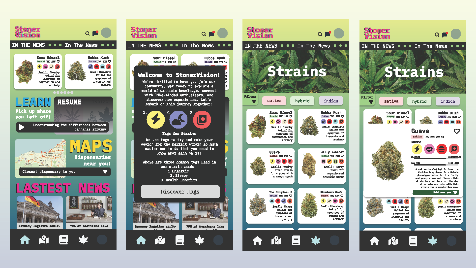 StonerVision Presentation_Page_08.png