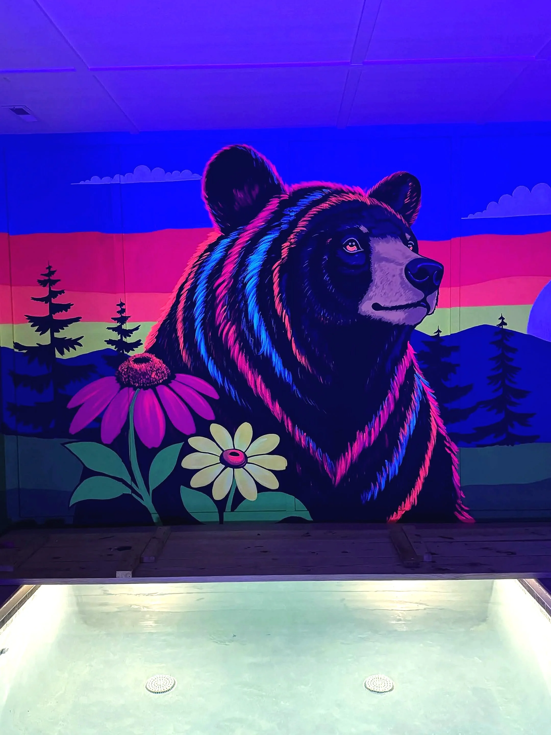 Smoky Mountain sunset cabin mural with a playful black bear at a Tennessee Airbnb by Sarah Meitler Murals