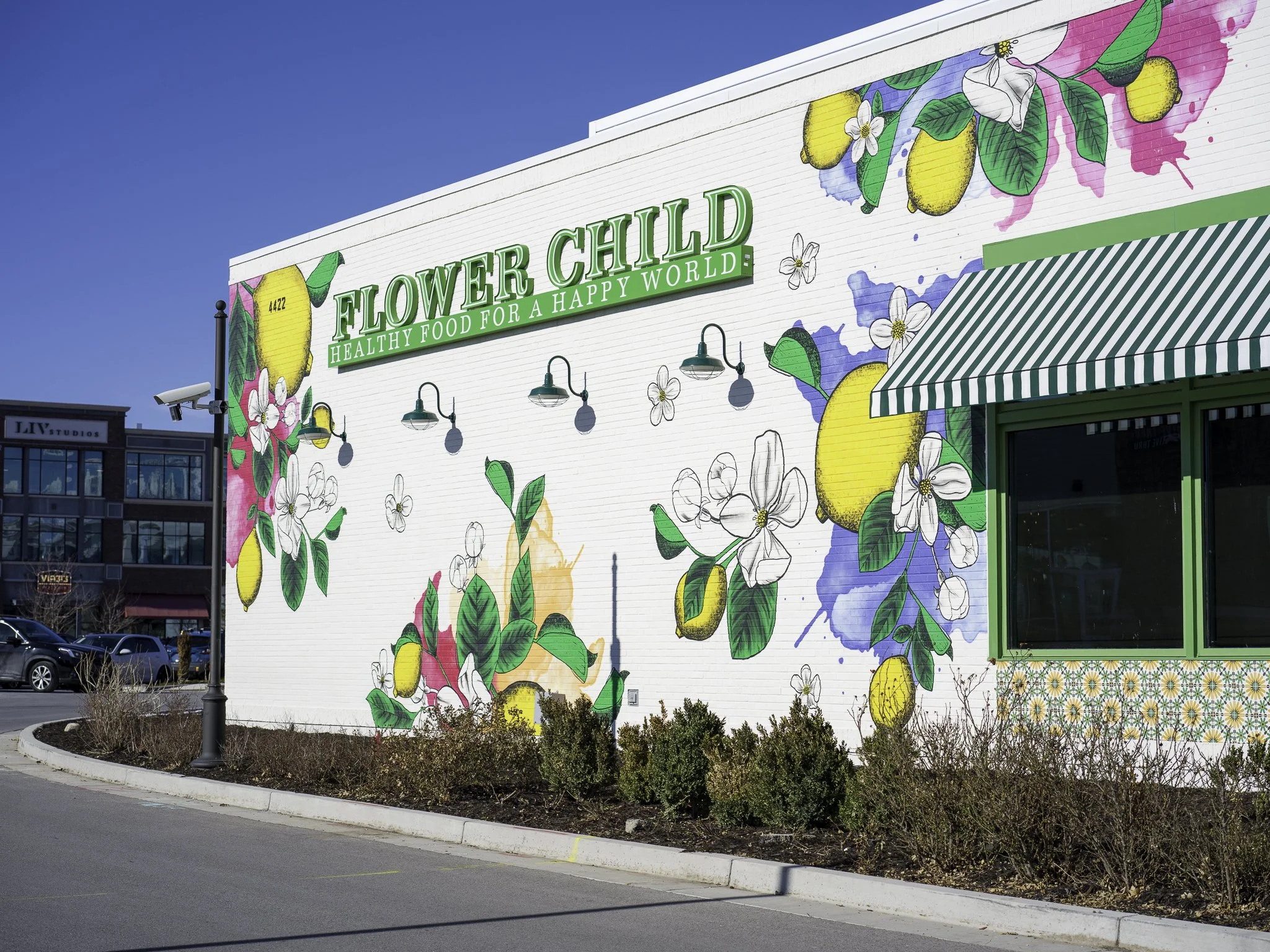 flower-child-riverton-utah-restaurant-mural-1.jpg.jpg
