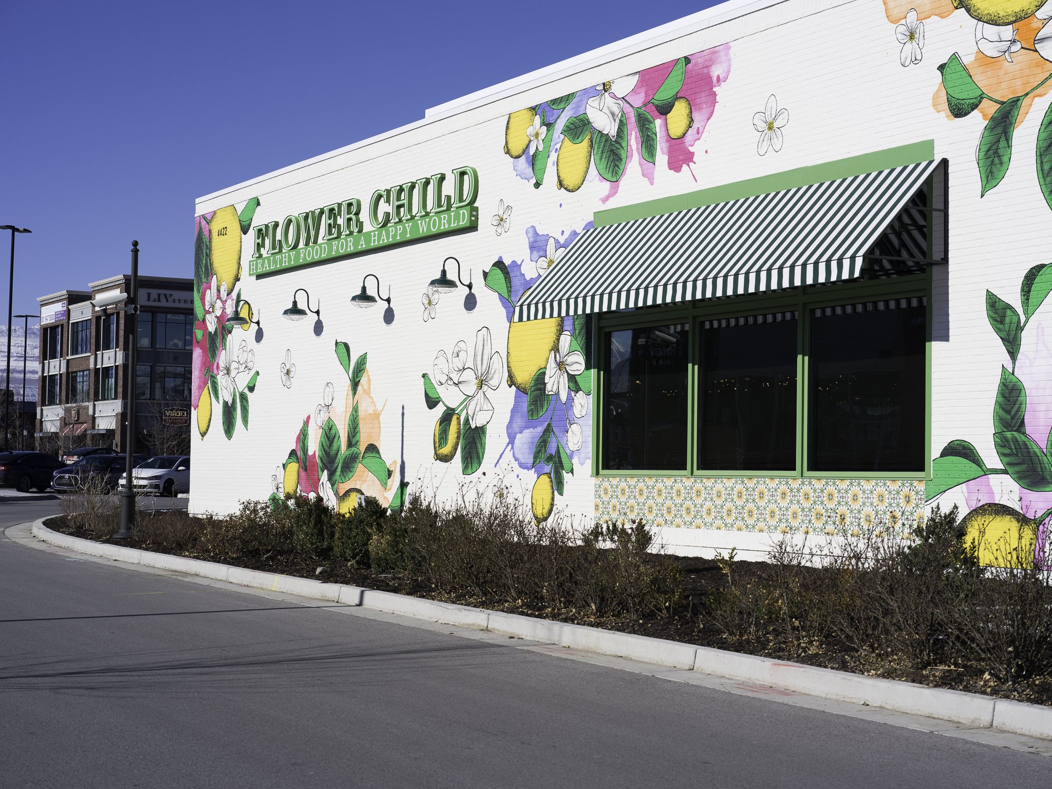 flower-child-riverton-utah-restaurant-mural-3.jpg.jpg