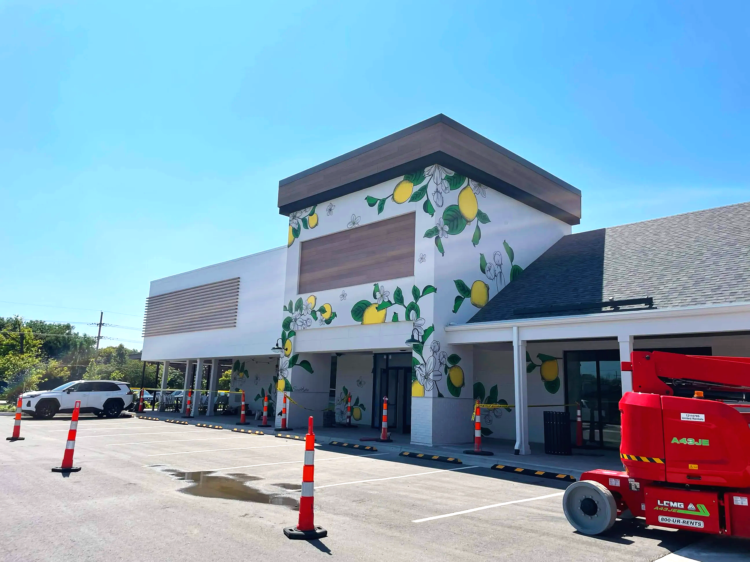 flowerChild_outdoormurals_sarahmeitler_kansas.png