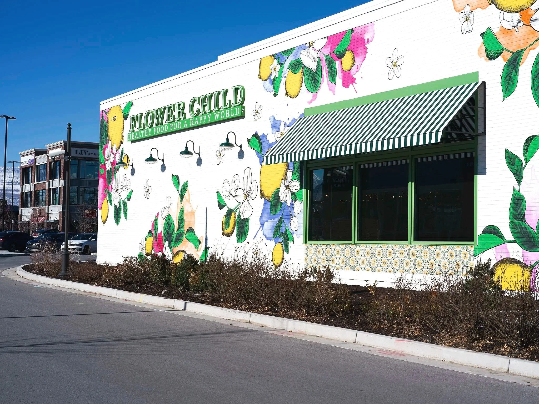 Flower Child Riverton Utah exterior mural botanical design with lemons blossoms and greenery in bold colorful style