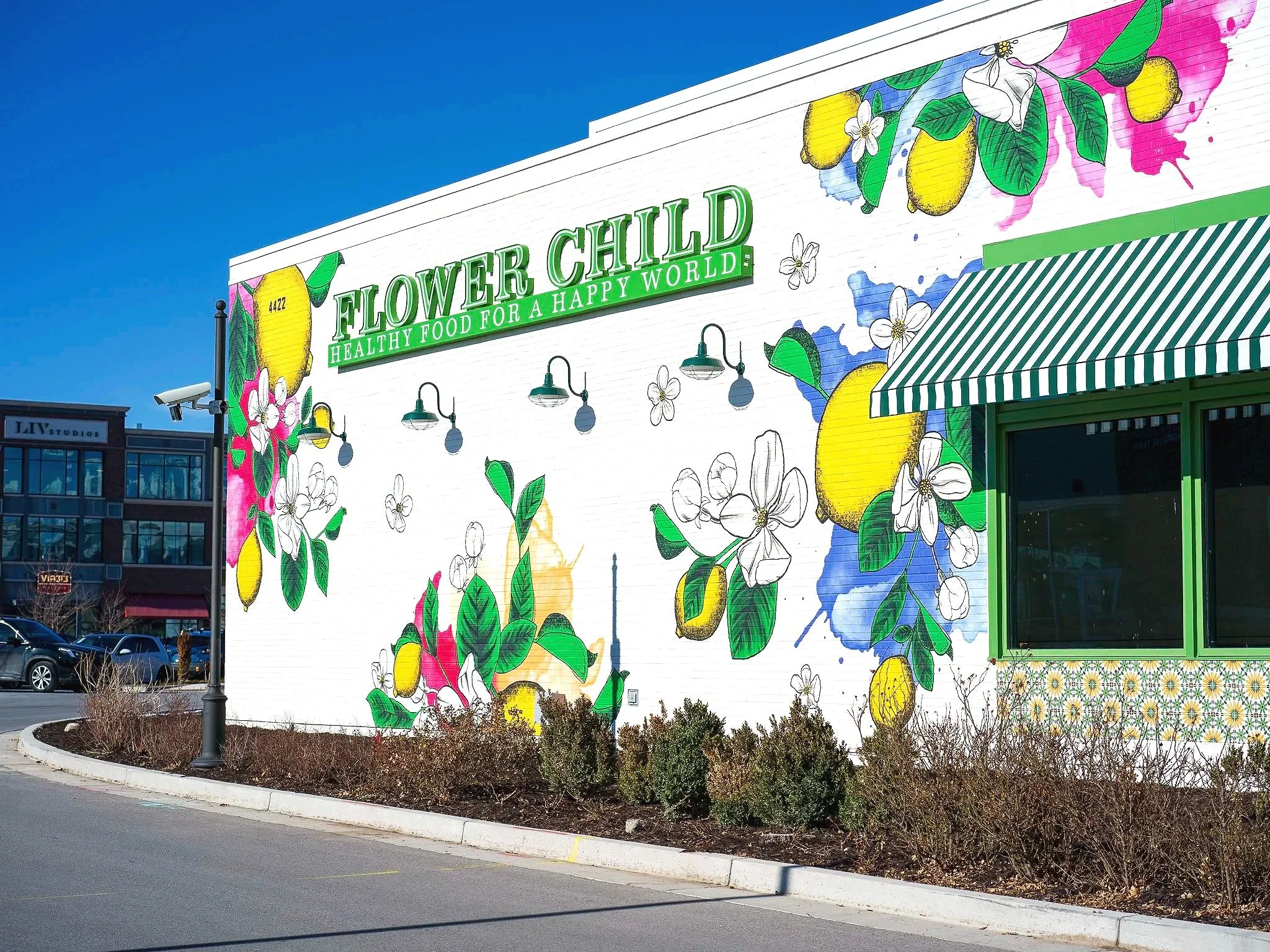 Flower Child Riverton Utah exterior mural botanical design with lemons blossoms and greenery in bold colorful style