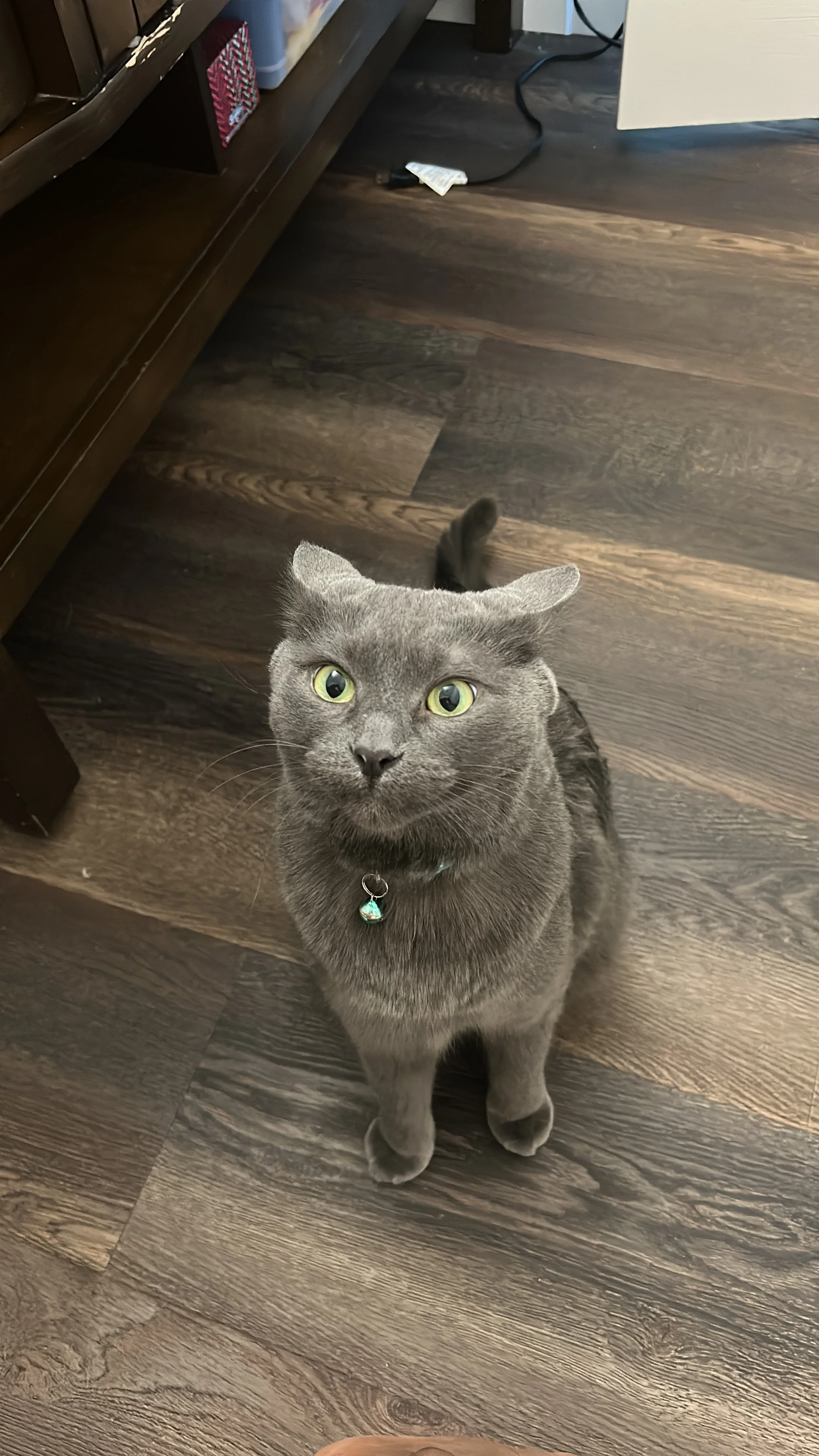 159324A8-CEEB-4DEF-A262-336D9C2B0B0B 3.JPG