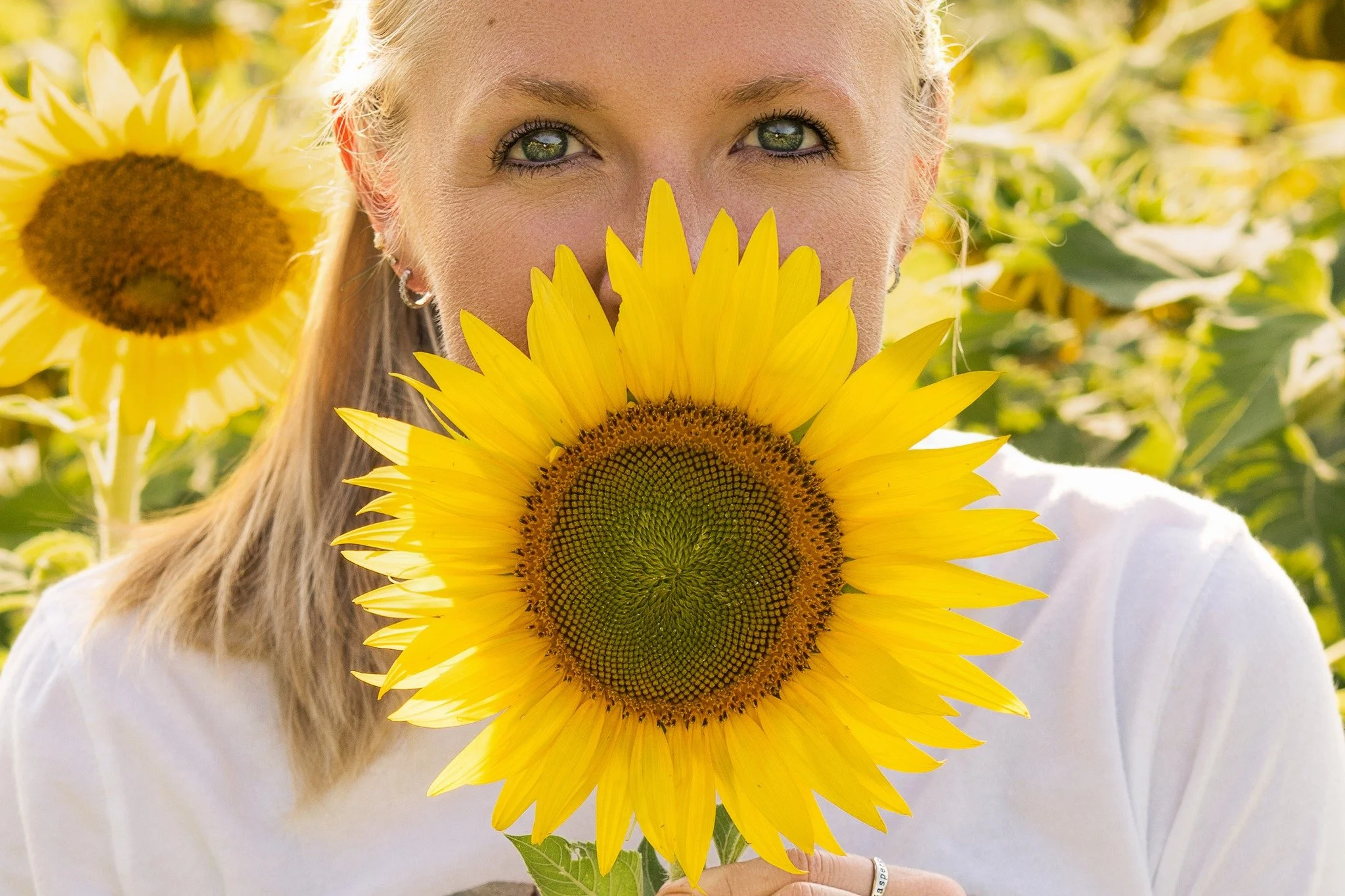 Maybe I should schedule Sunflower Mini's for next year now? 🌻📸