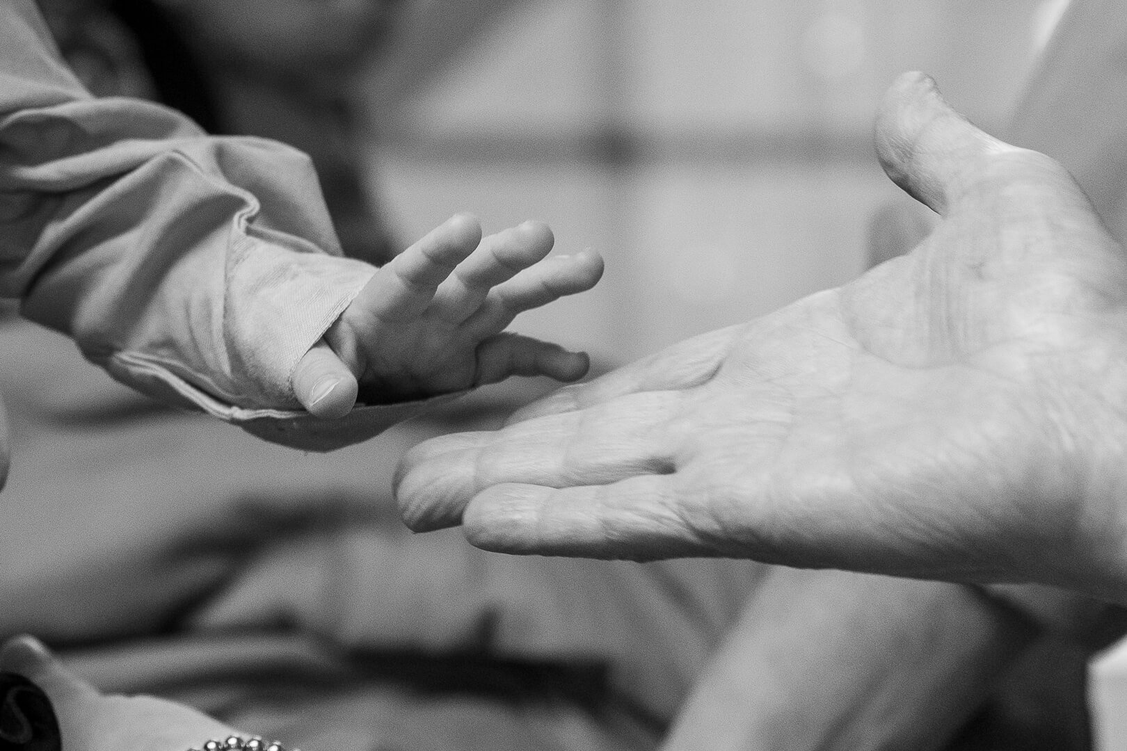 family lifestyle portrait by zdarko photography in erie, pa. 