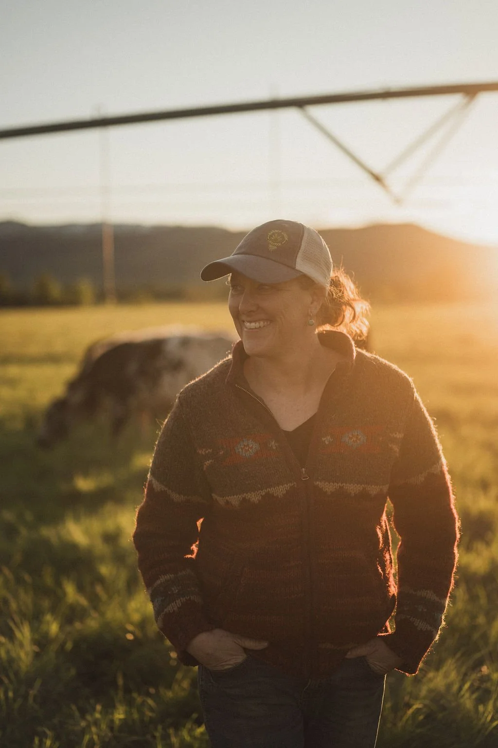barney creek livestock yellowstone grass fed