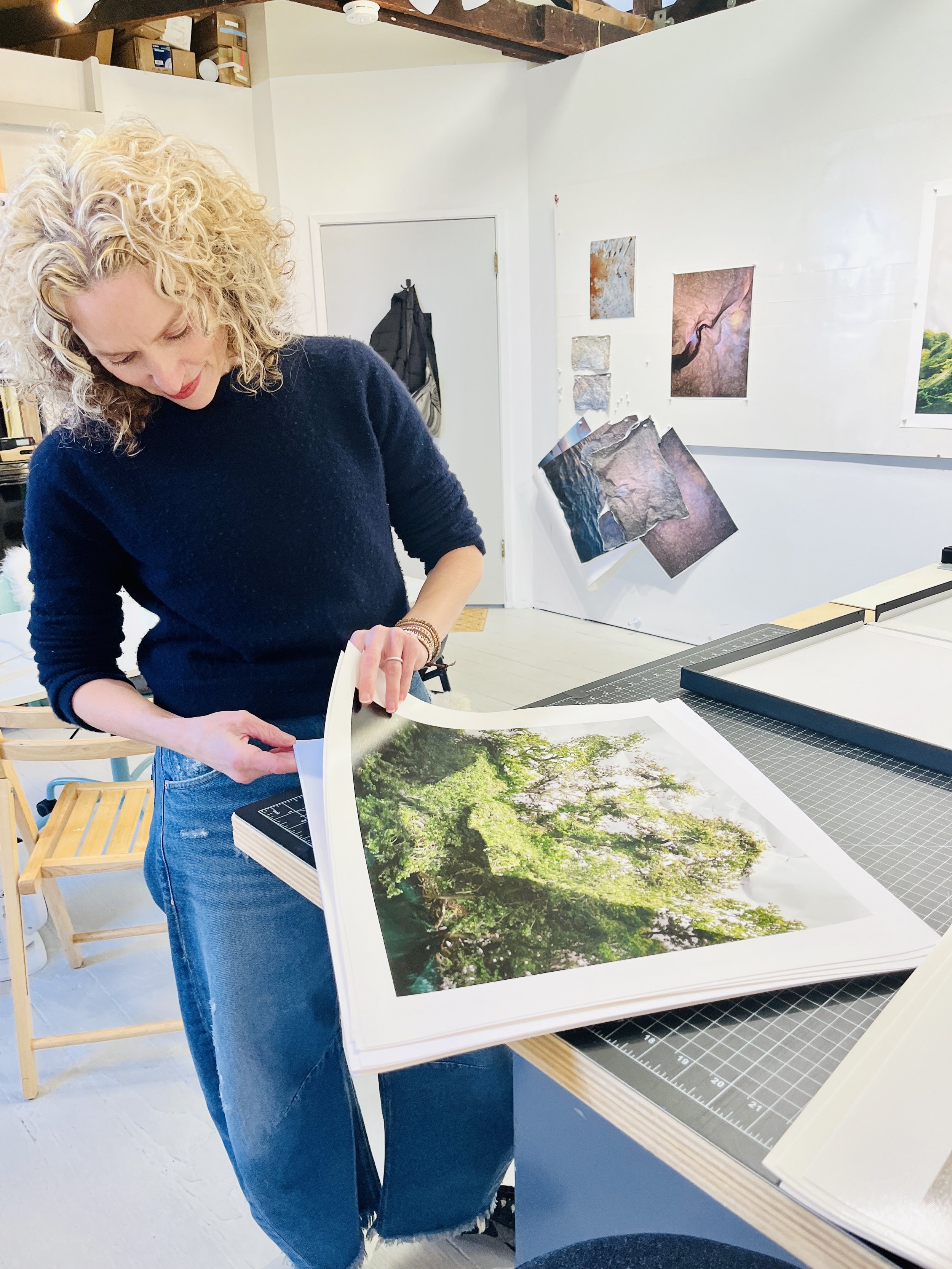 Print Study