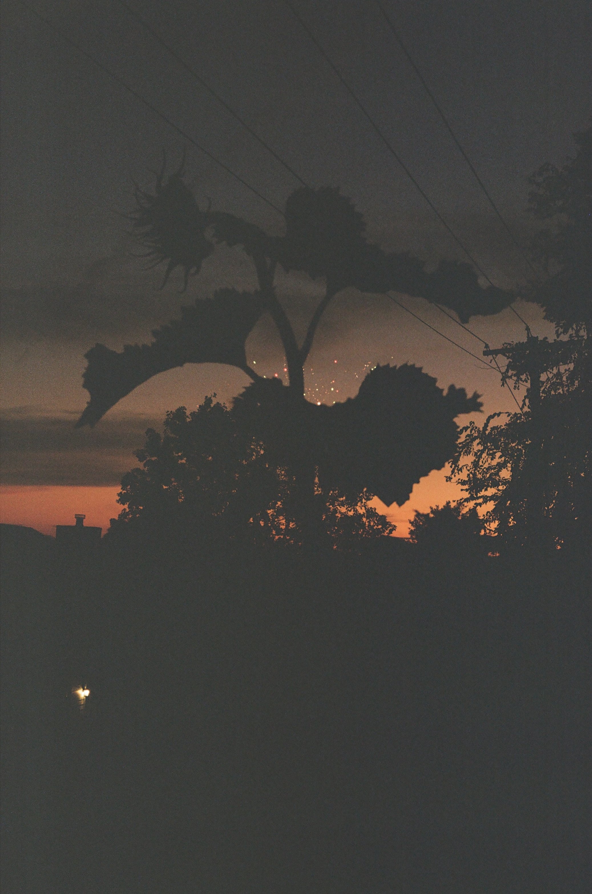 001186220029.jpg