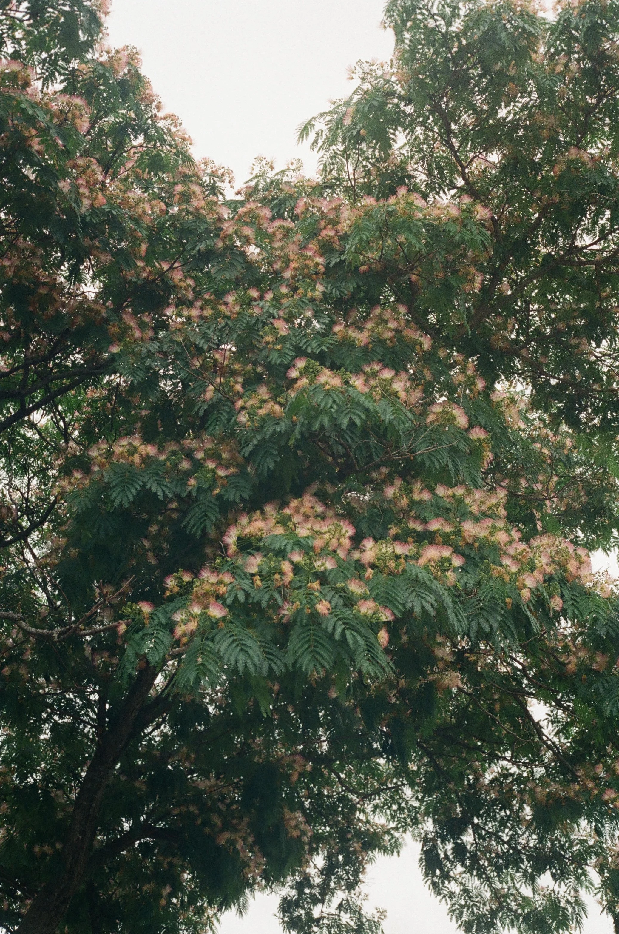 001591840001.jpg