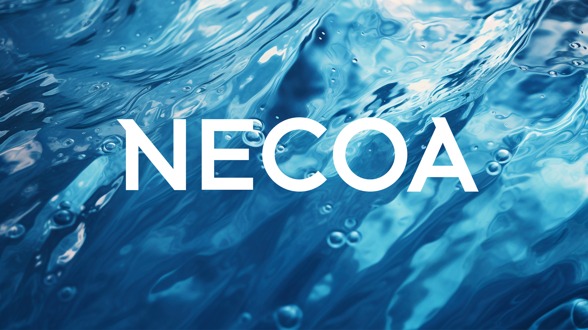 NECOA Launch Event