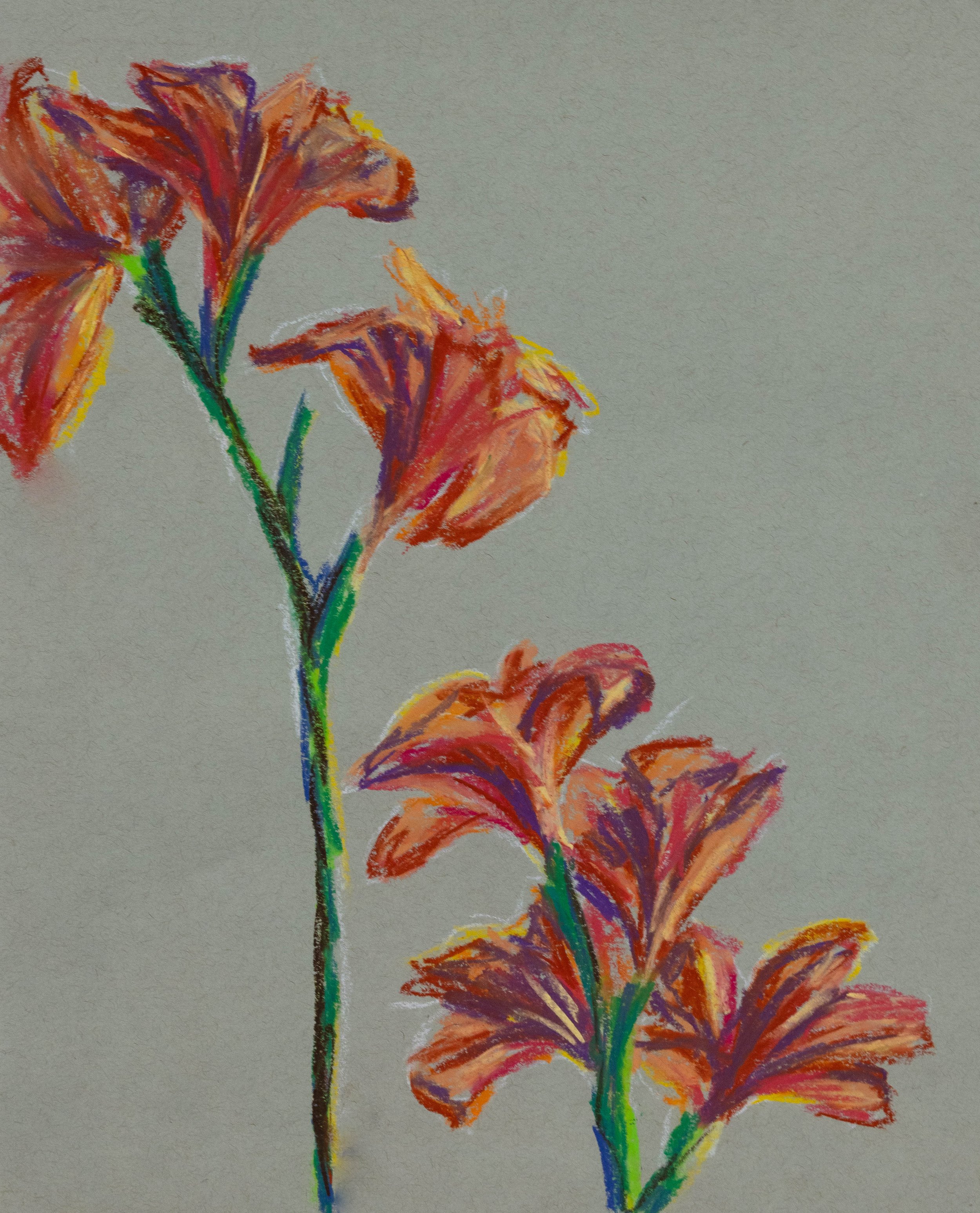chalk pastel on toned paper