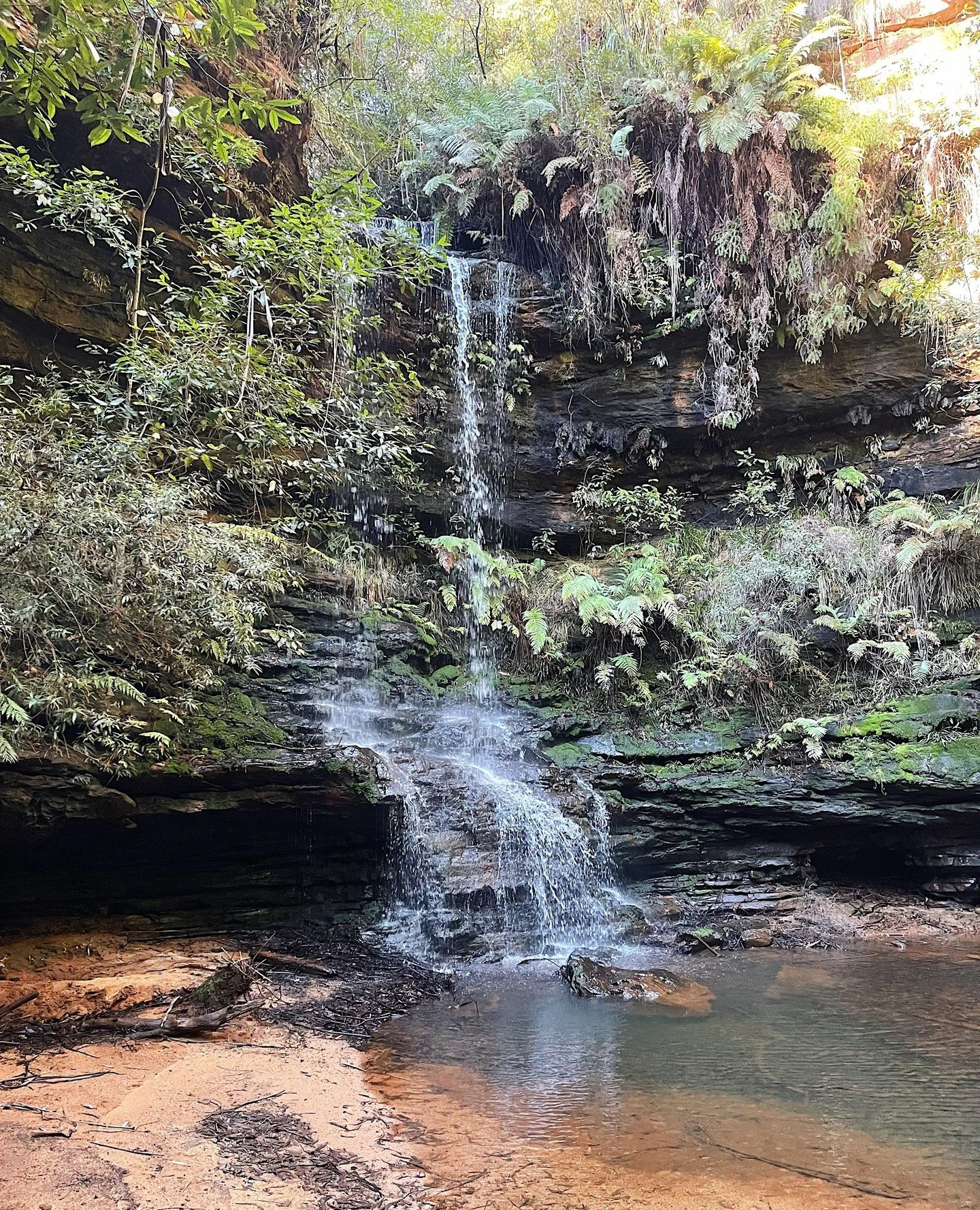 We're pretty lucky to call this place home.⁠
⁠
Whether you're chasing waterfalls, finding a new walking track or just enjoying a slow Sunday, there's no shortage of beautiful spots to explore in the Blue Mountains.⁠
⁠
We hope you're having a great we
