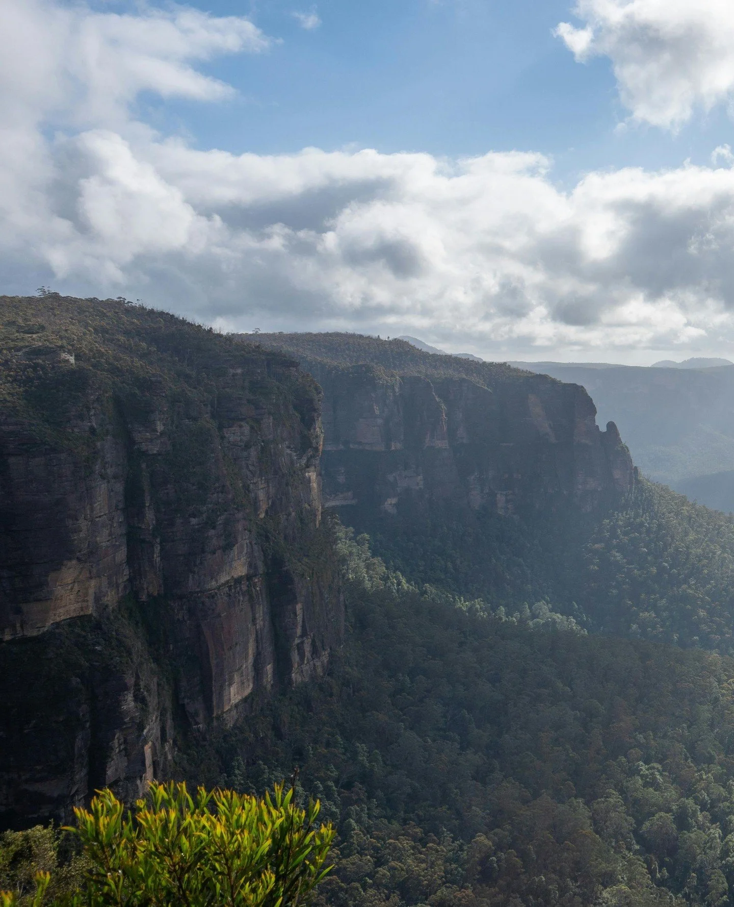 Just making a Sunday of it in the Mountains, come grab a coffee and start your day with us. ☀️☕️⁠
⁠
See you soon!⁠
⁠
-⁠
📍1/107 Macquarie Rd, Springwood⁠
📍39 Hawkesbury Rd, Springwood⁠
📍1 David Rd, Emu Plains⁠
⁠
.⁠
.⁠
.⁠
⁠
⁠
#FinnAndCoCafe #BlueMou