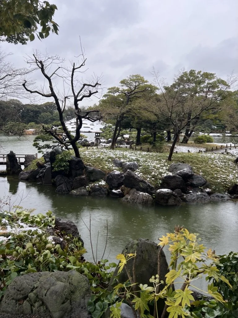 5CA66147-F8F6-4604-893D-104F11895006_1_105_c.jpeg