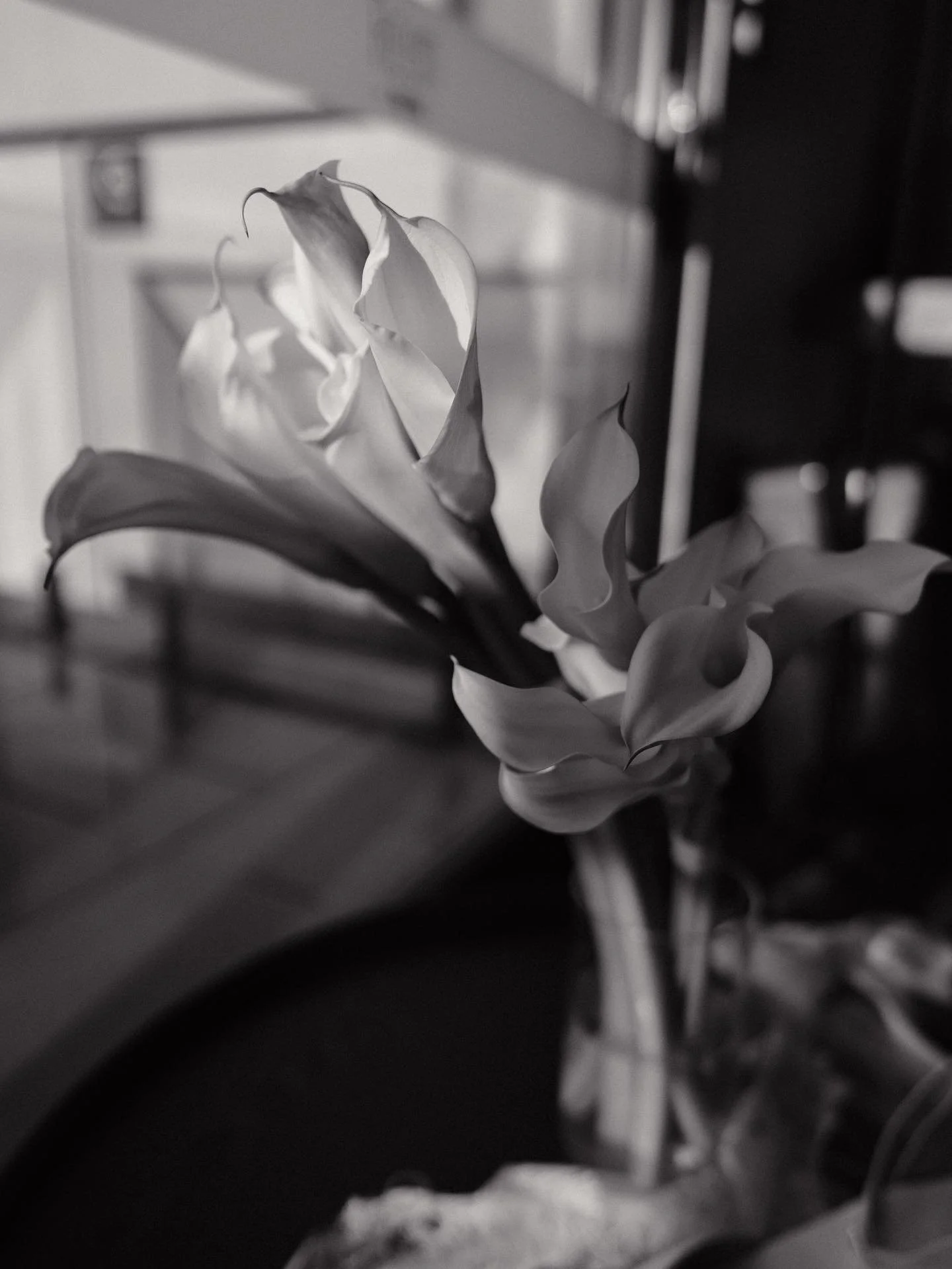 Minimalist Moments 
Simple. 
Refined.

📷Captured beautifully @saltmedia.au