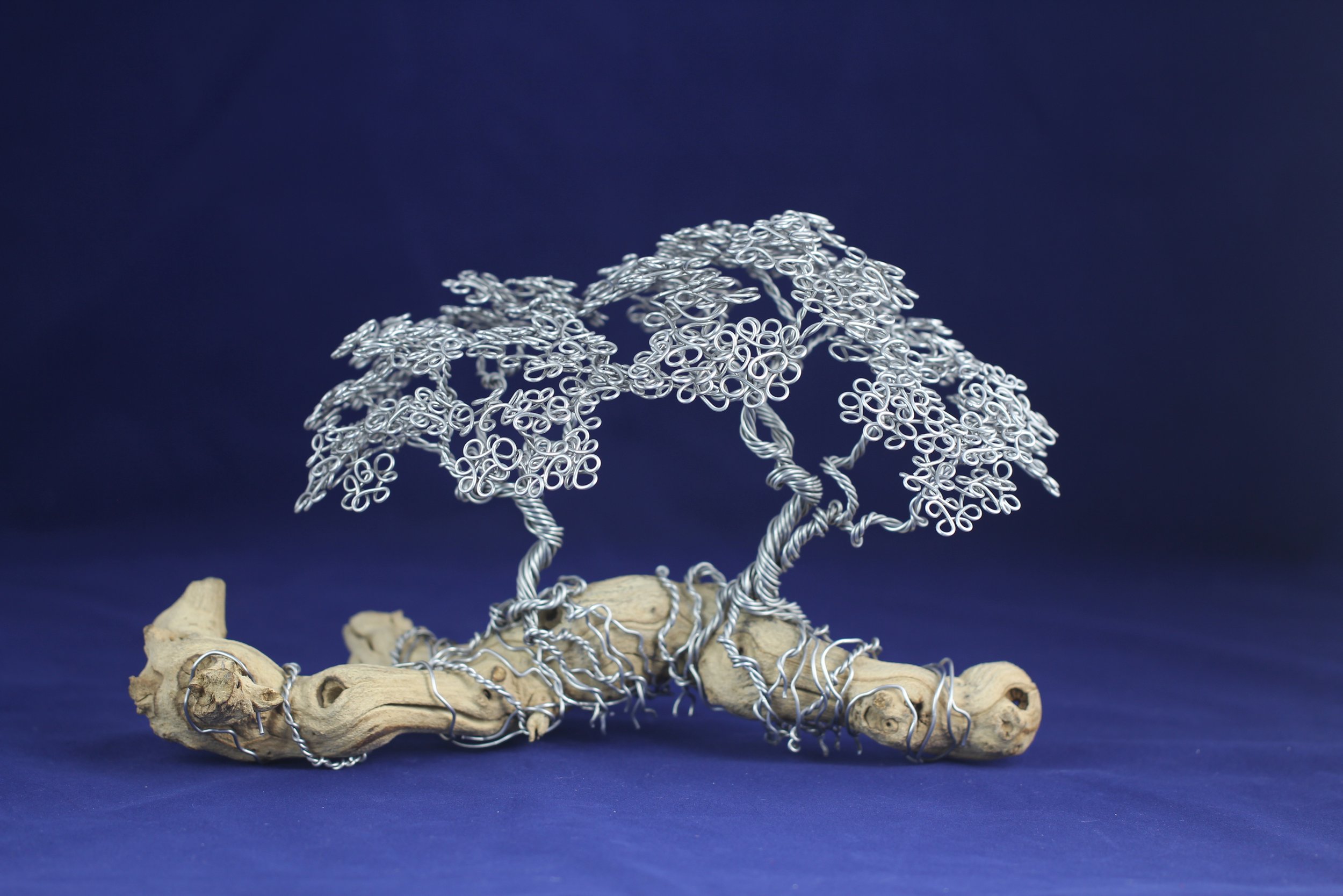 Aluminum on Grapevine Branch #5183 - SOLD