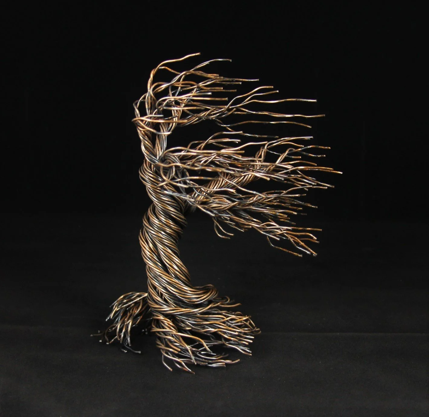 Wind-Blown Tree of Life - SOLD