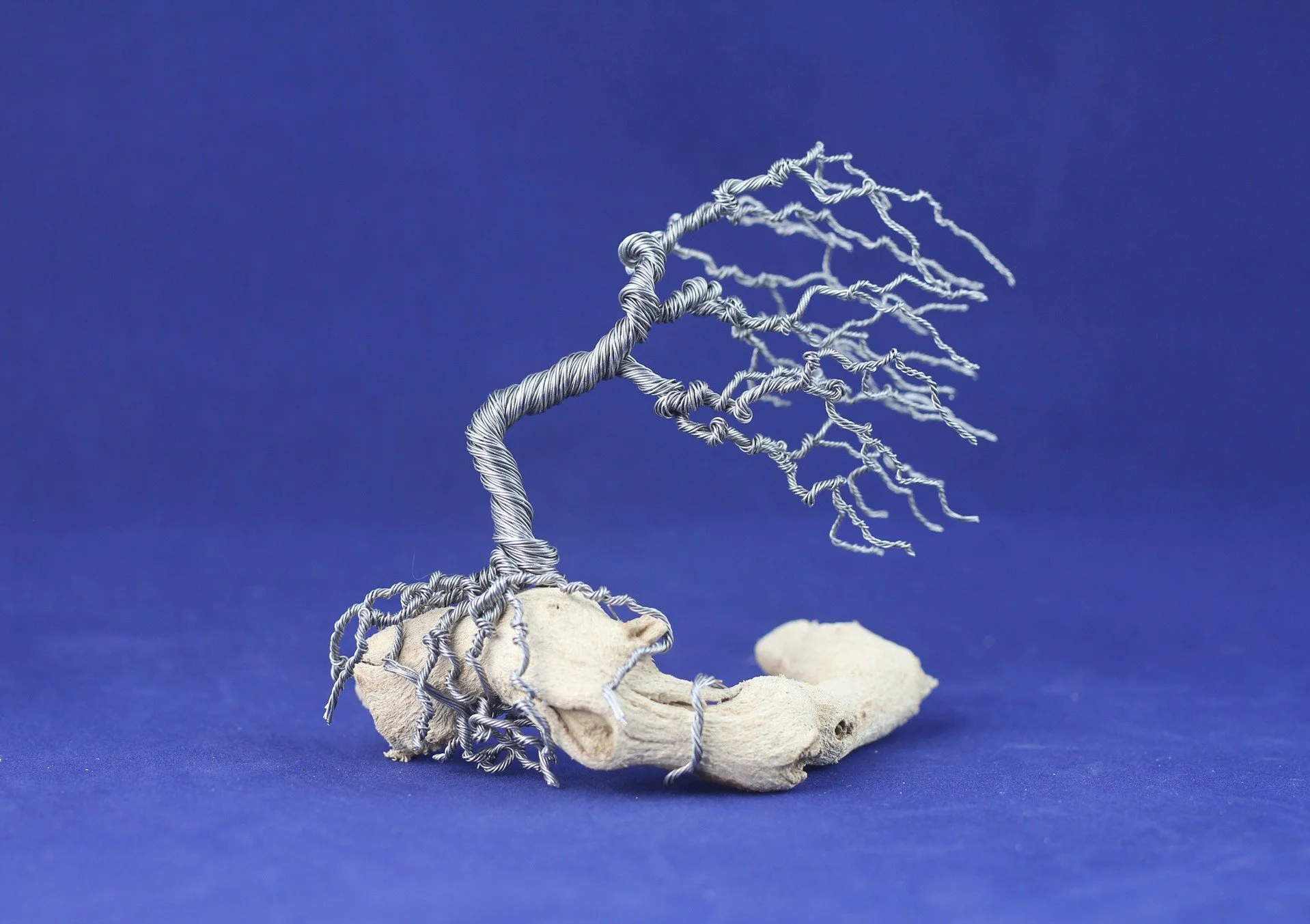 Wind-Blown Wire Tree