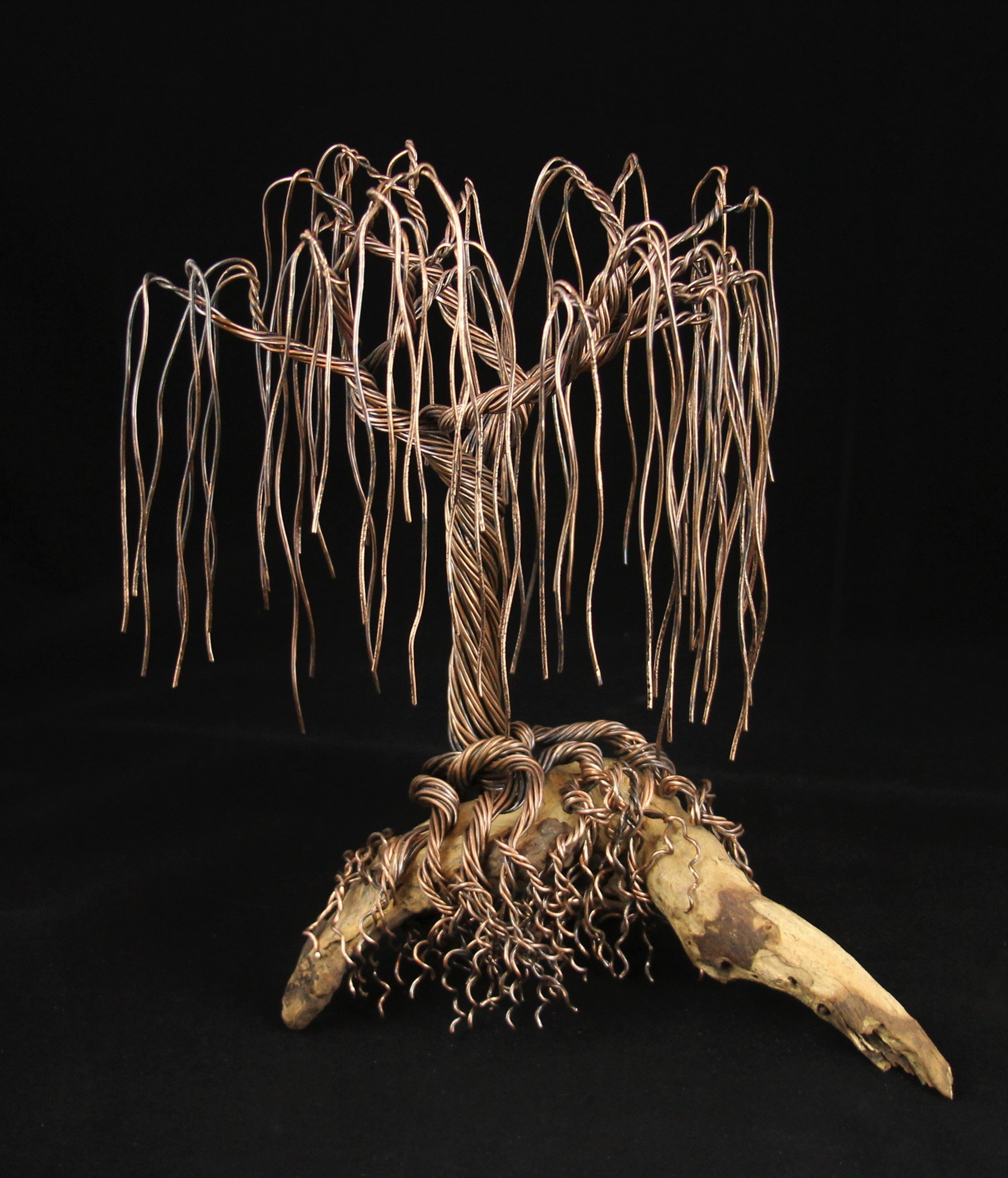 Copper Willow on Driftwood - SOLD