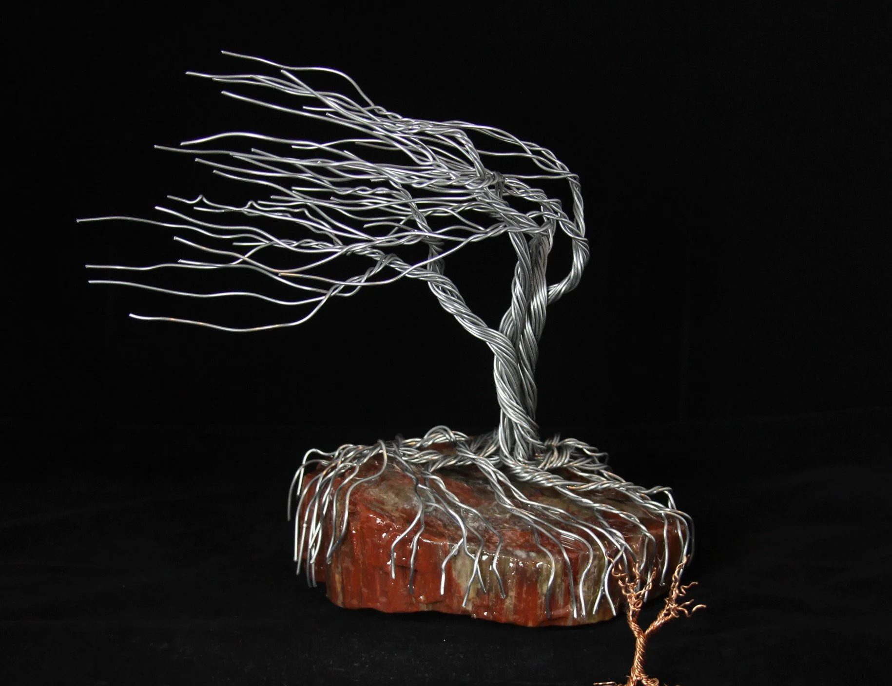 Rainbow Petrified Wood from Azizona - SOLD