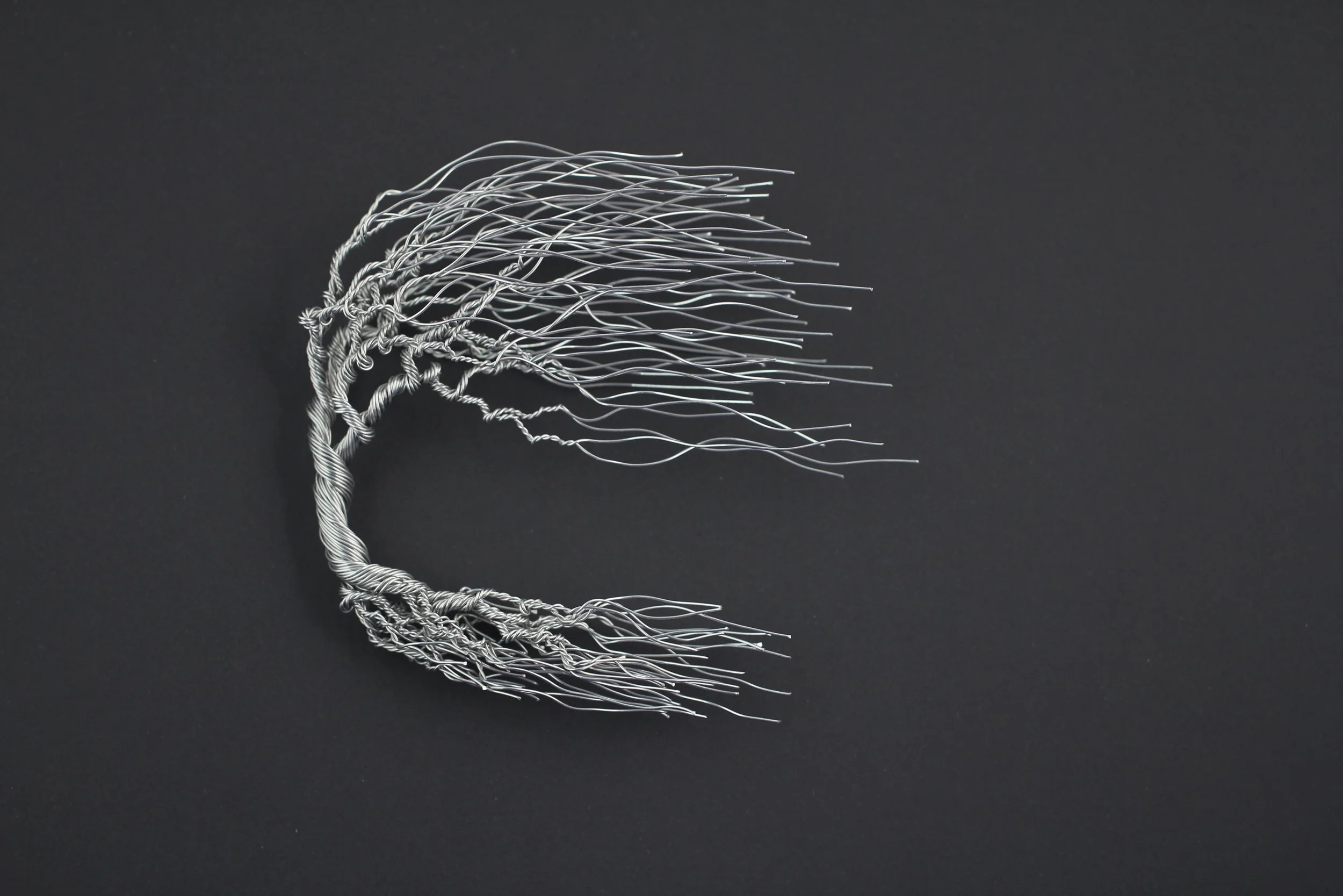 Wind-Blown Tree I - SOLD