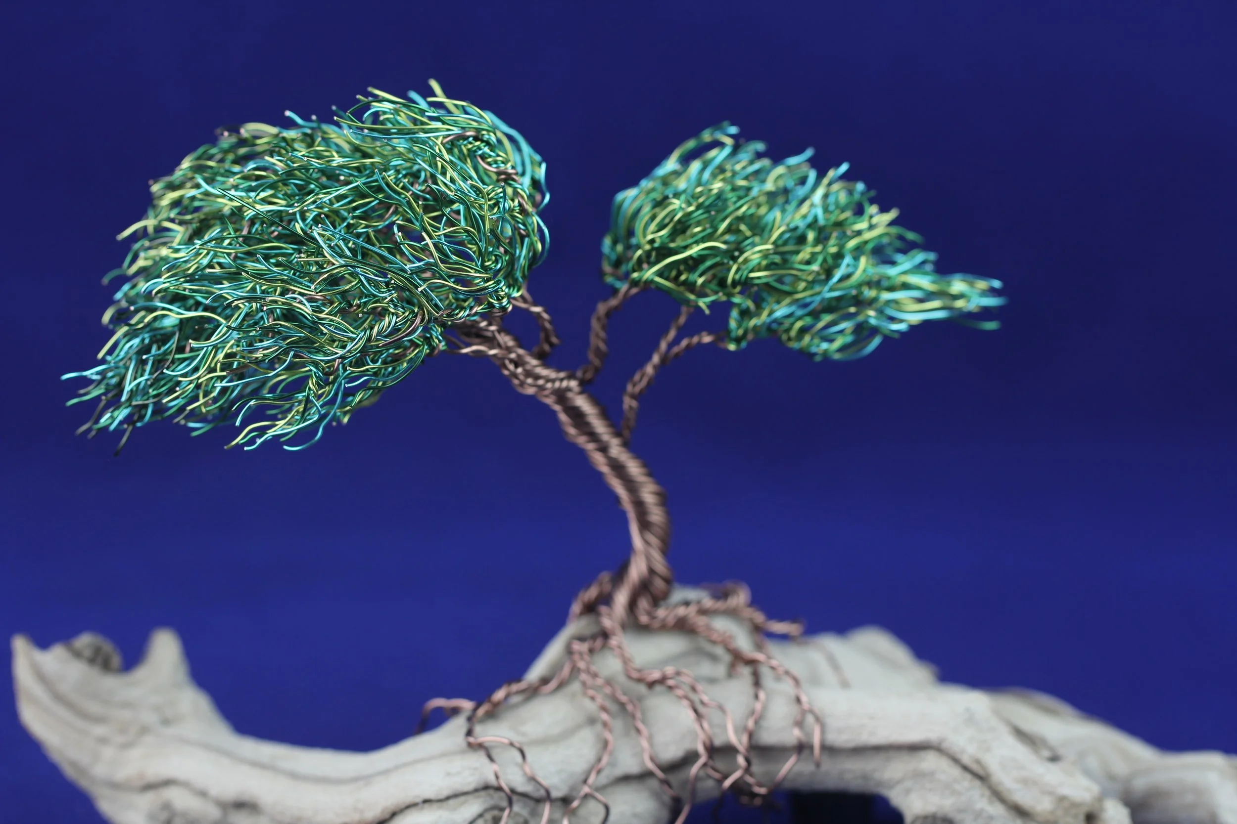 Copper Bonsai Tree on Driftwood #5273 - SOLD