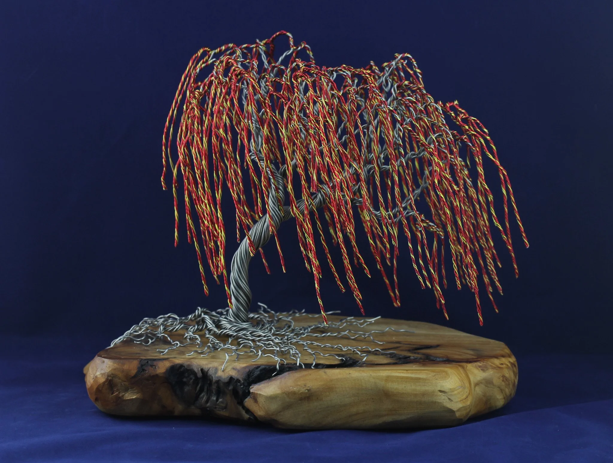 Red Willow on Wood #5186 - $325