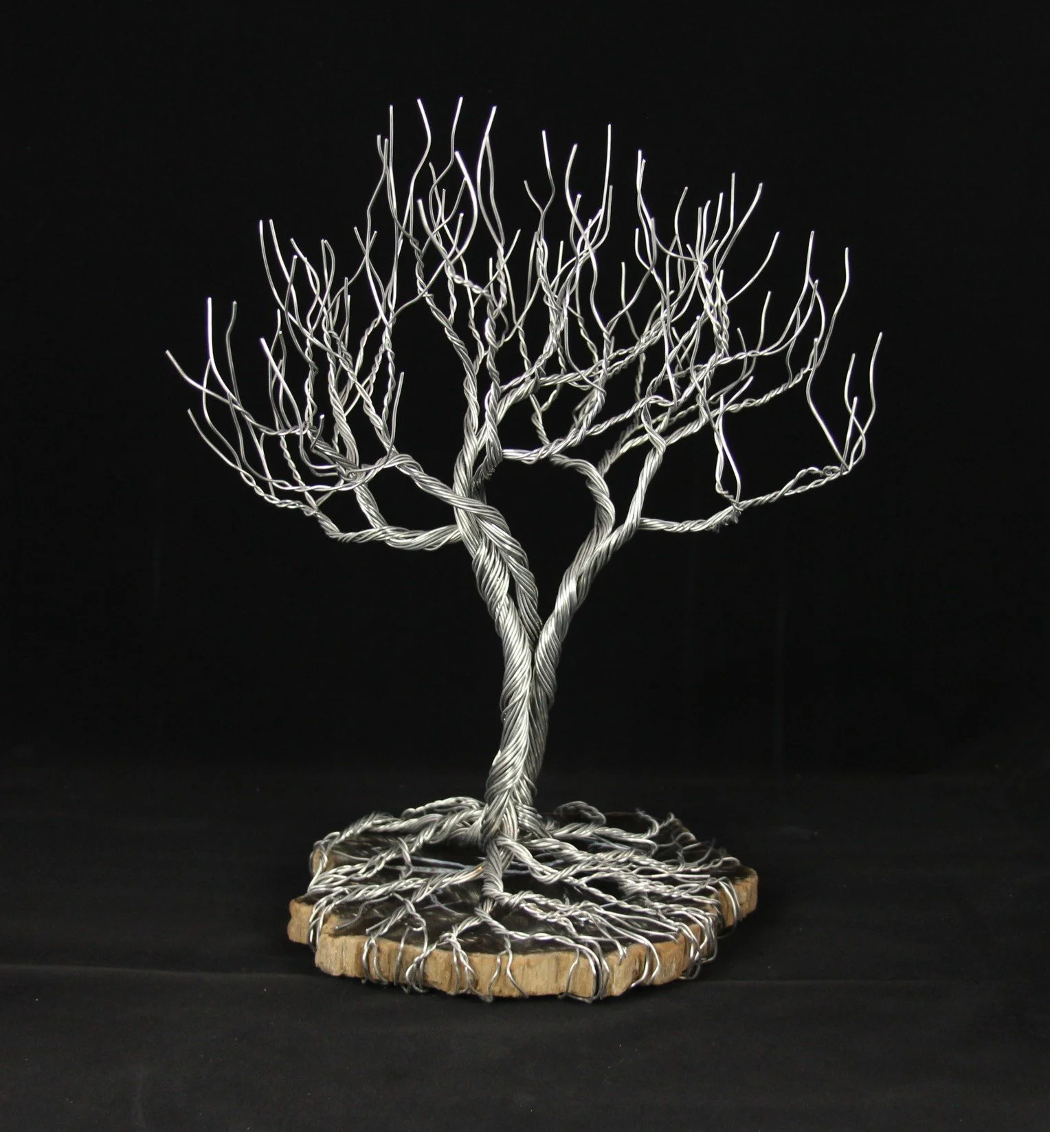 Indonesian Petrified Wood - SOLD