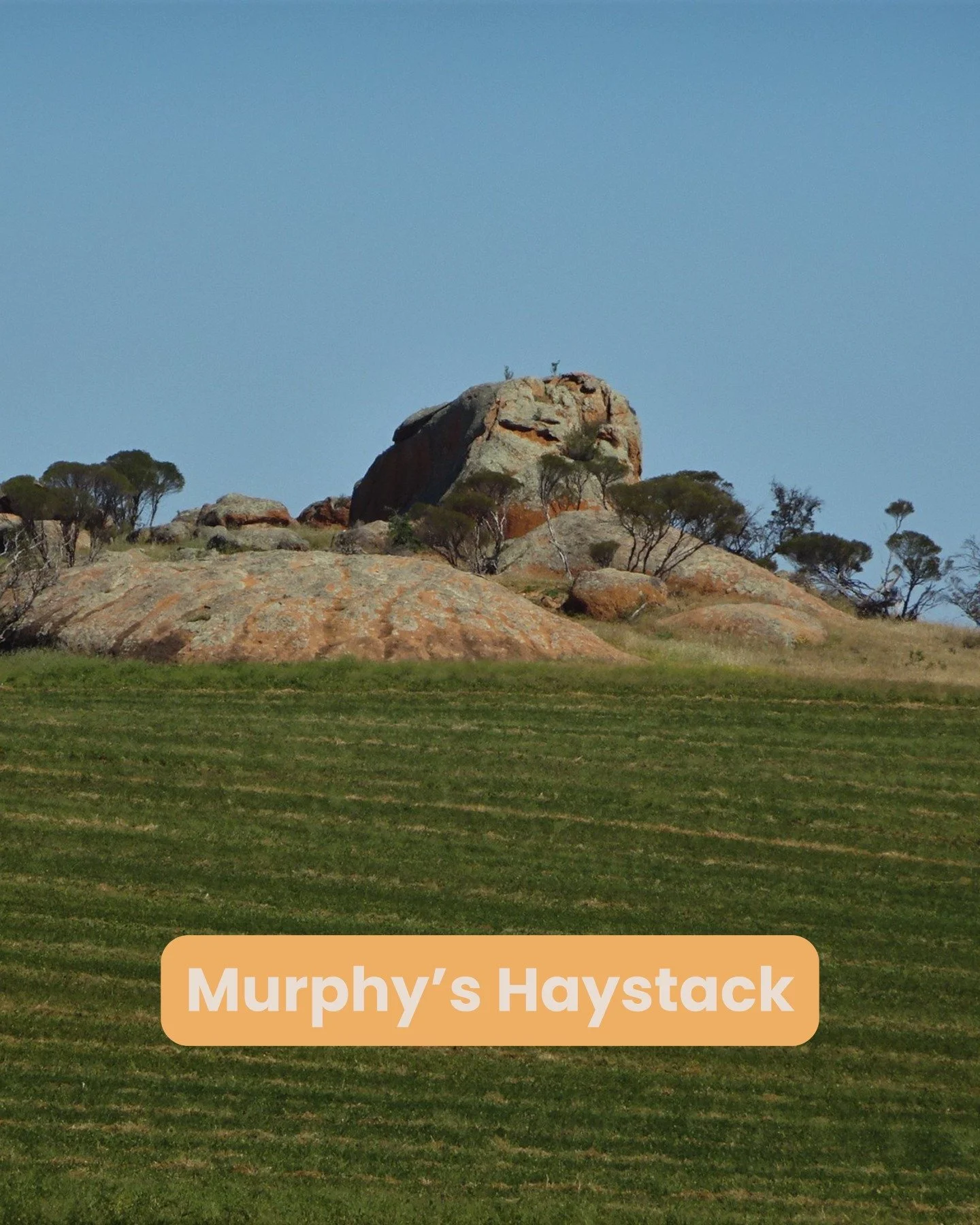 📸 Murphy&rsquo;s Haystack
📸 Locks Well
📸 Winter Hill Lookout
📸 The seals at Point Labatt

The landscapes that inspired Point Perry are very real - rugged cliffs, hidden rock formations, and coastal views that make you feel like time slows down. P