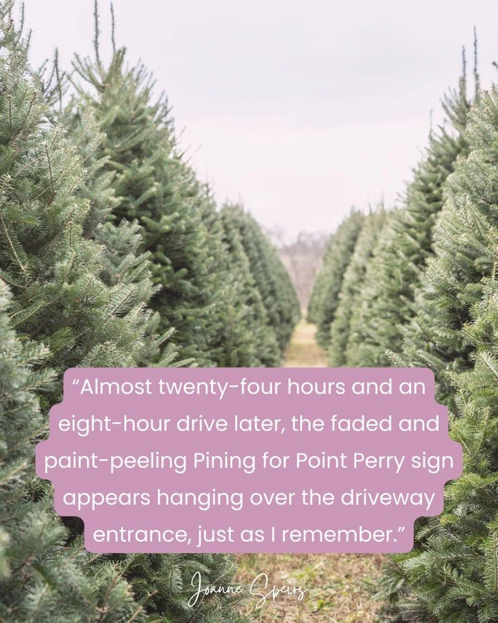 #teasertuesday 

"Almost twenty-four hours and an eight-hour drive later, the faded and paint-peeling Pining for Point Perry sign appears hanging over the driveway entrance, just as I remember."

If you know &hellip; you know. 🌲

That feel