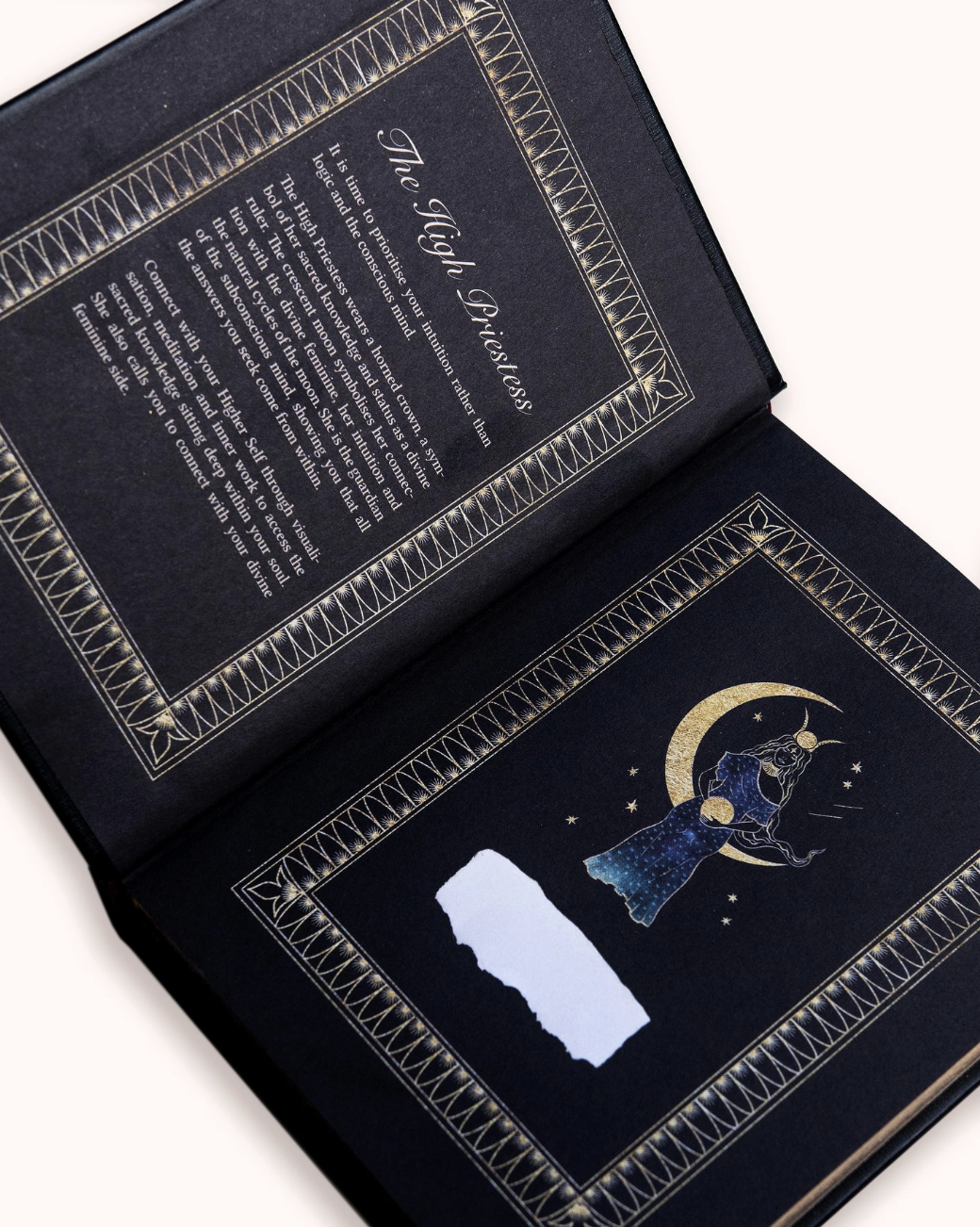 Screenshot 2026-03-27 at 8.45.21 PM.png