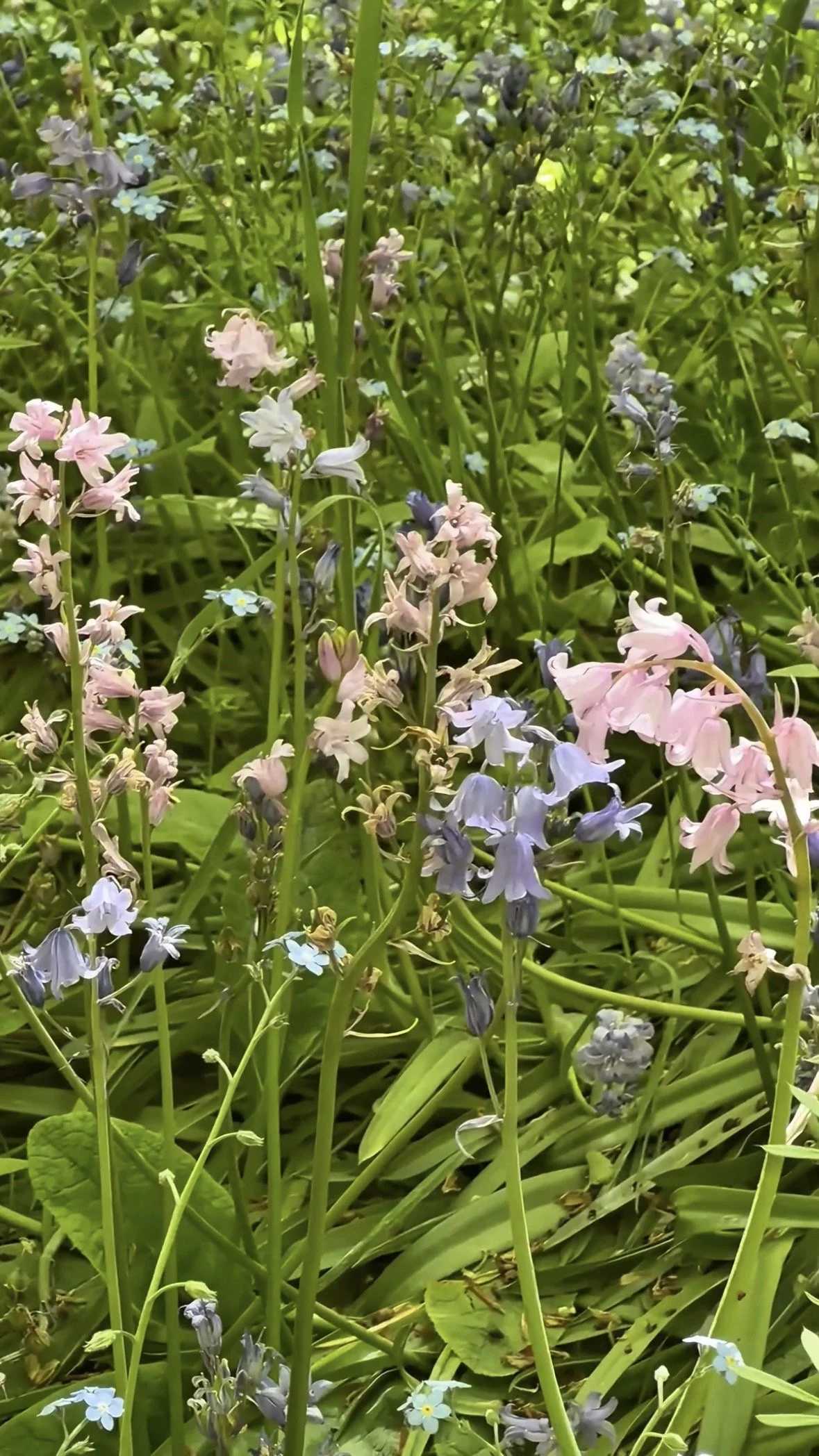 cover photo.jpg