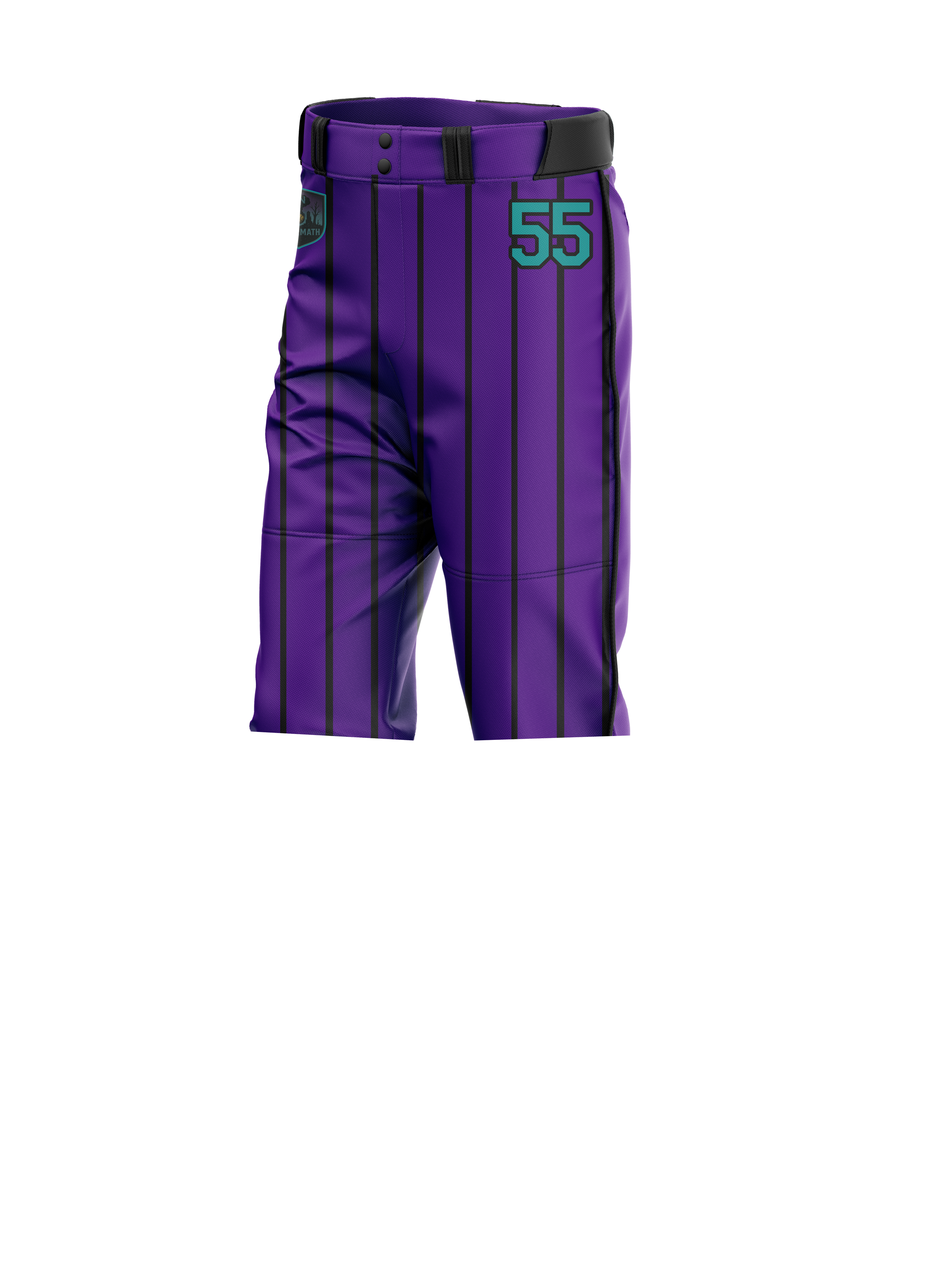 PURPLE PINSTRIPE TN AFTERMATH KNICKER BASEBALL PANTS-FRONT LEFT copy.png