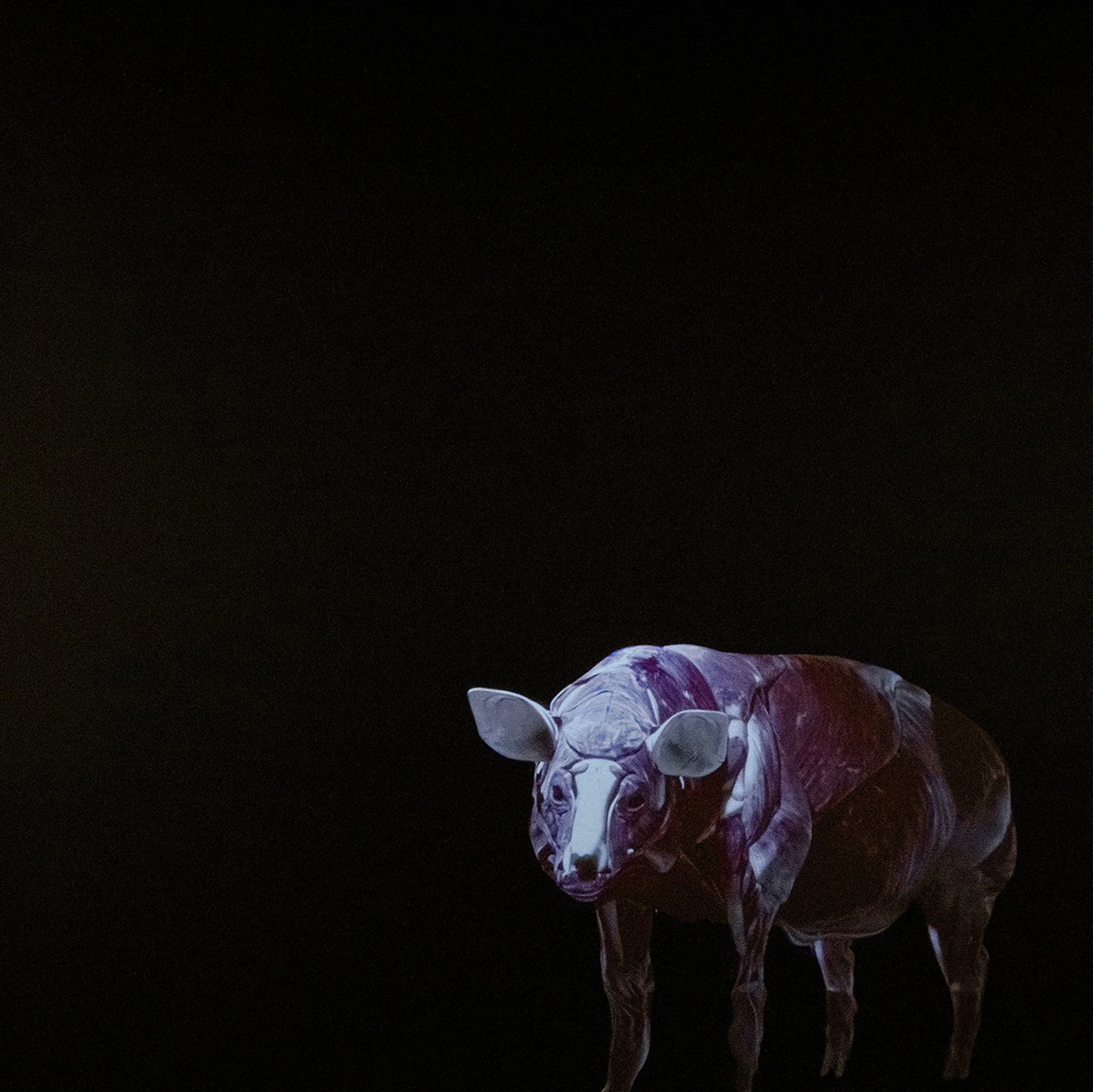 TURKU ANIMATED FILM FESTIVAL: JUHANA MOISANDER, SERMON,15.8.-24.8. 2025