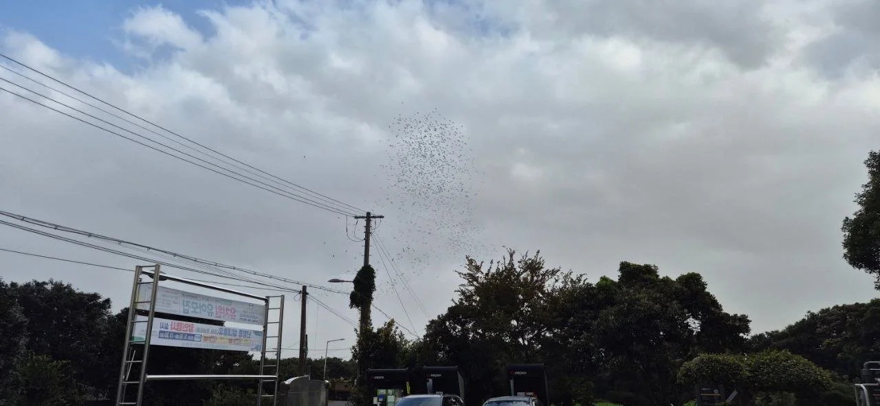 photo_2025-11-30 20.17.46.jpeg