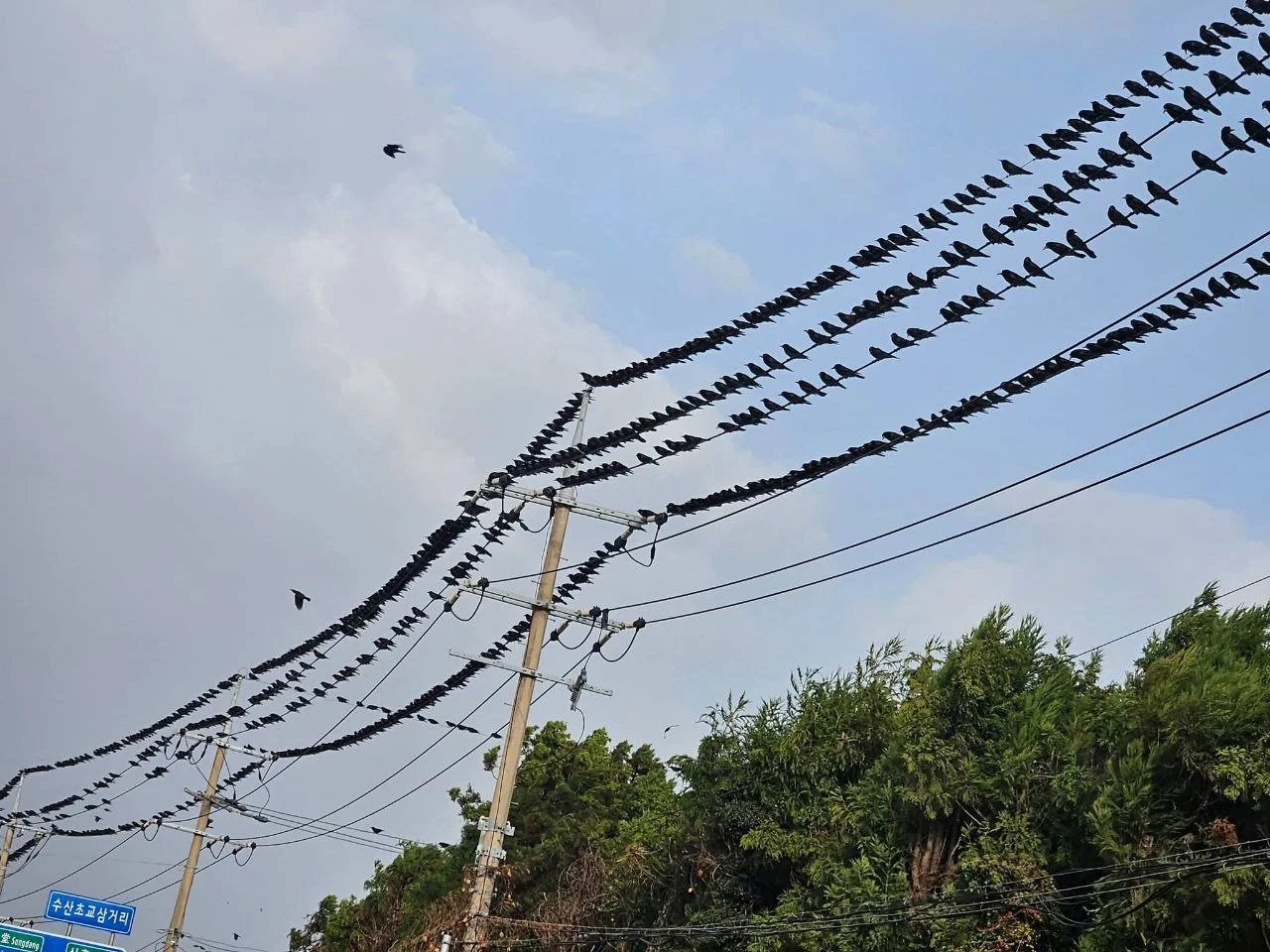 photo_2025-11-30 20.17.48.jpeg