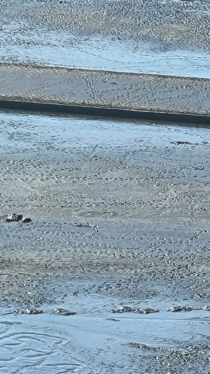 photo_2025-11-30 20.17.52.jpeg