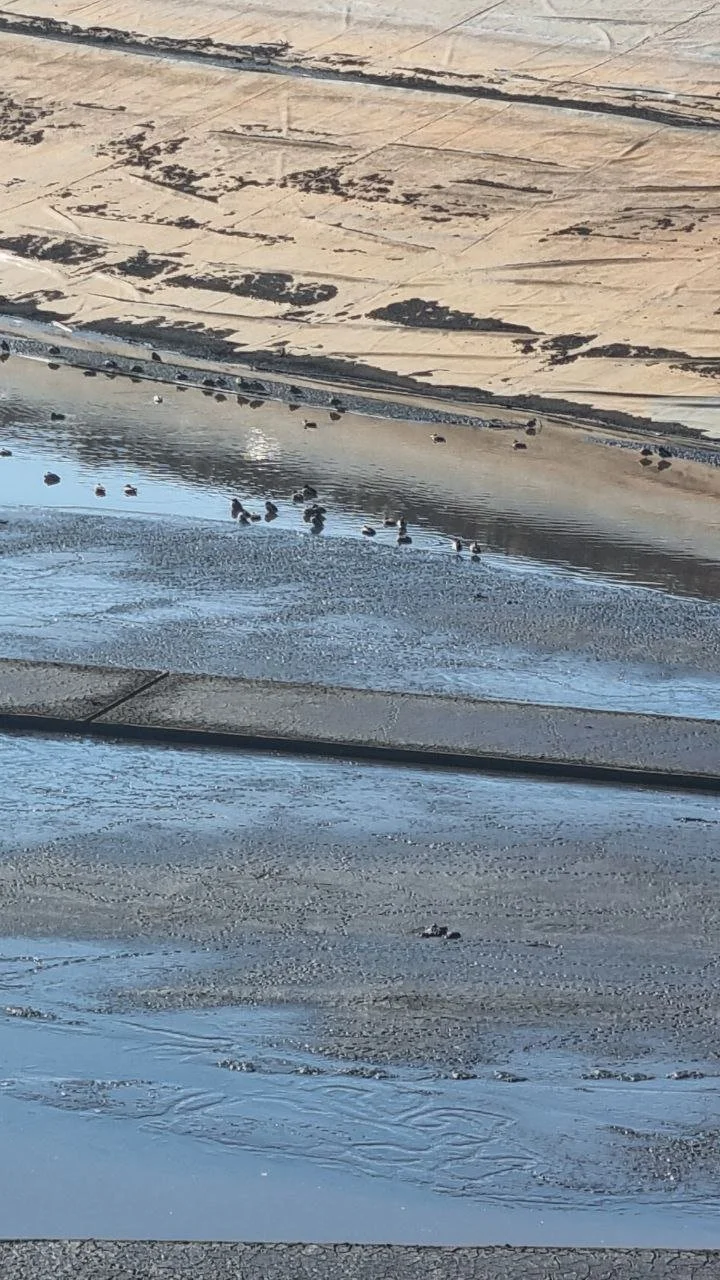 photo_2025-11-30 20.17.53.jpeg