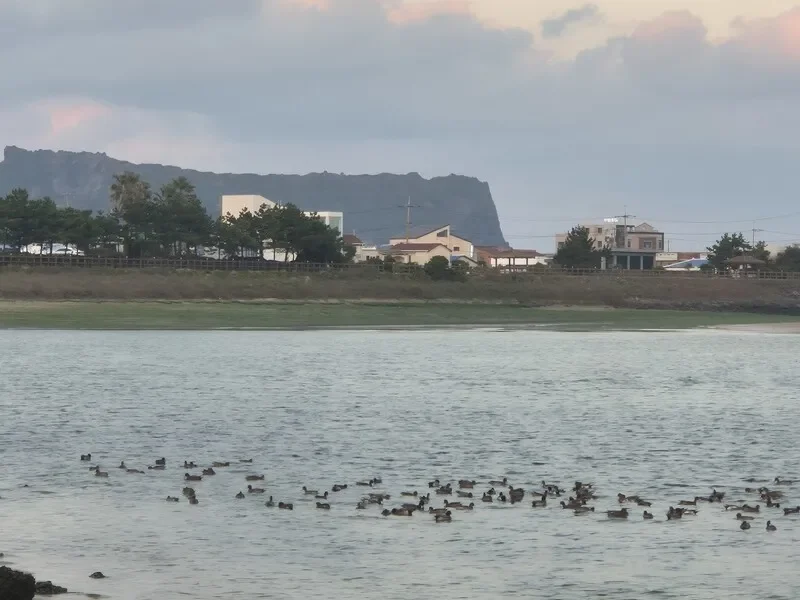 제주 2공항 갈등 10년…도민의 주권 존중해야 [기고]