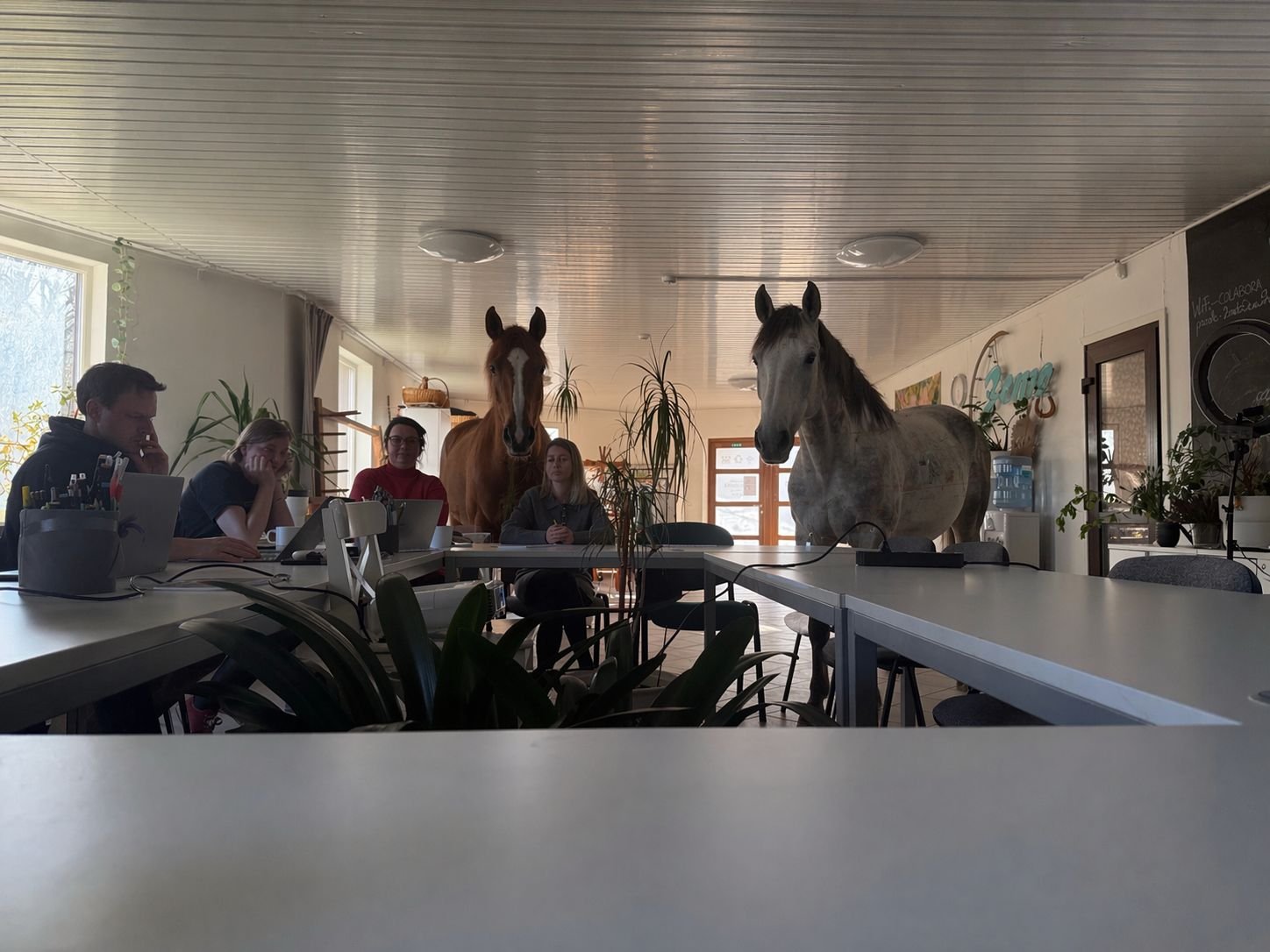 maksligais intelekts.jpeg