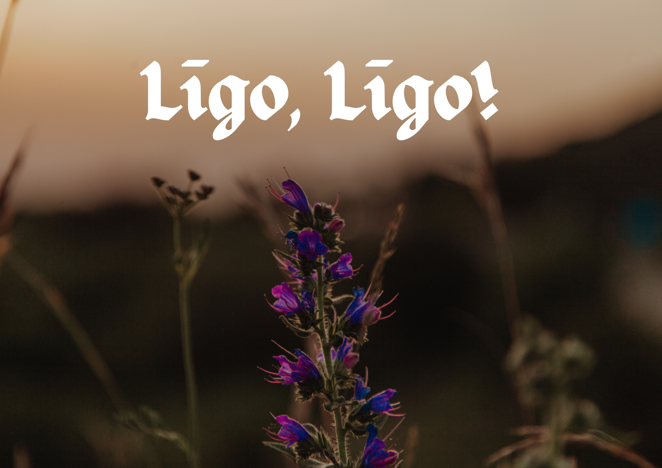 Līgo, Līgo!