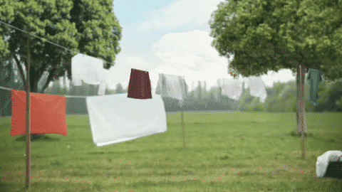 Sole La forza delle cose semplici