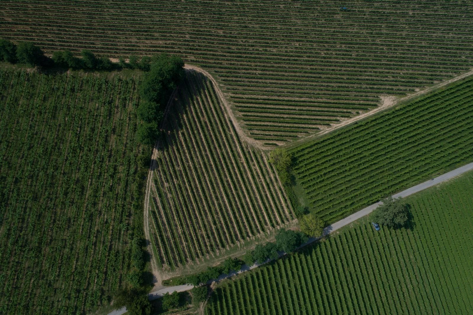 DJI_0119.jpg