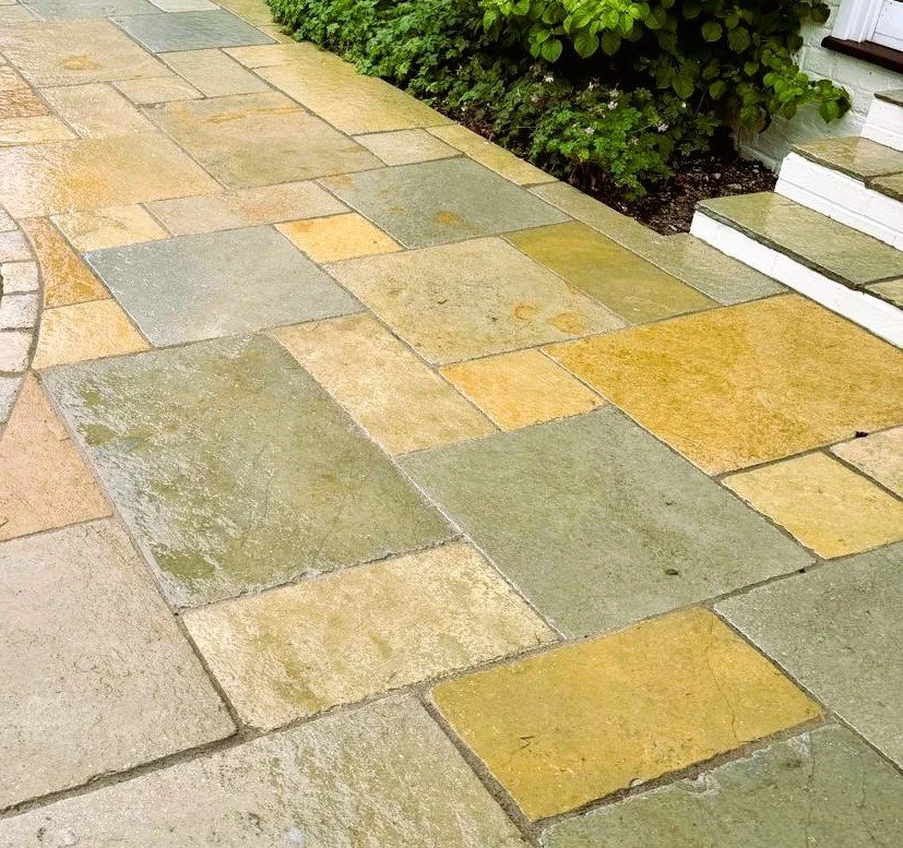 20240925_054015000_iOS 2.jpg