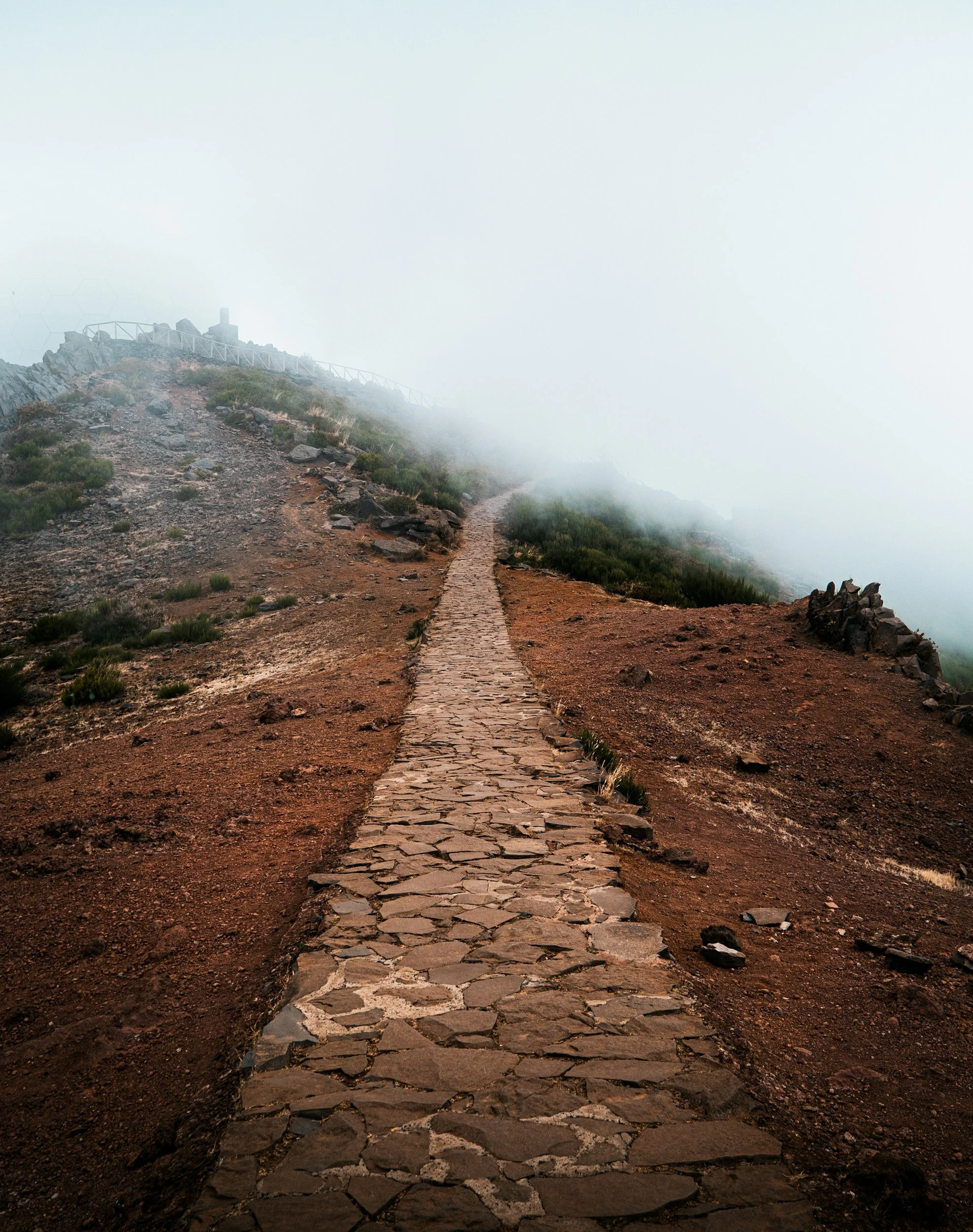 therapy journey starting therapy booking an initial session emotional wellbeing integrative therapist holistic therapy personal growth